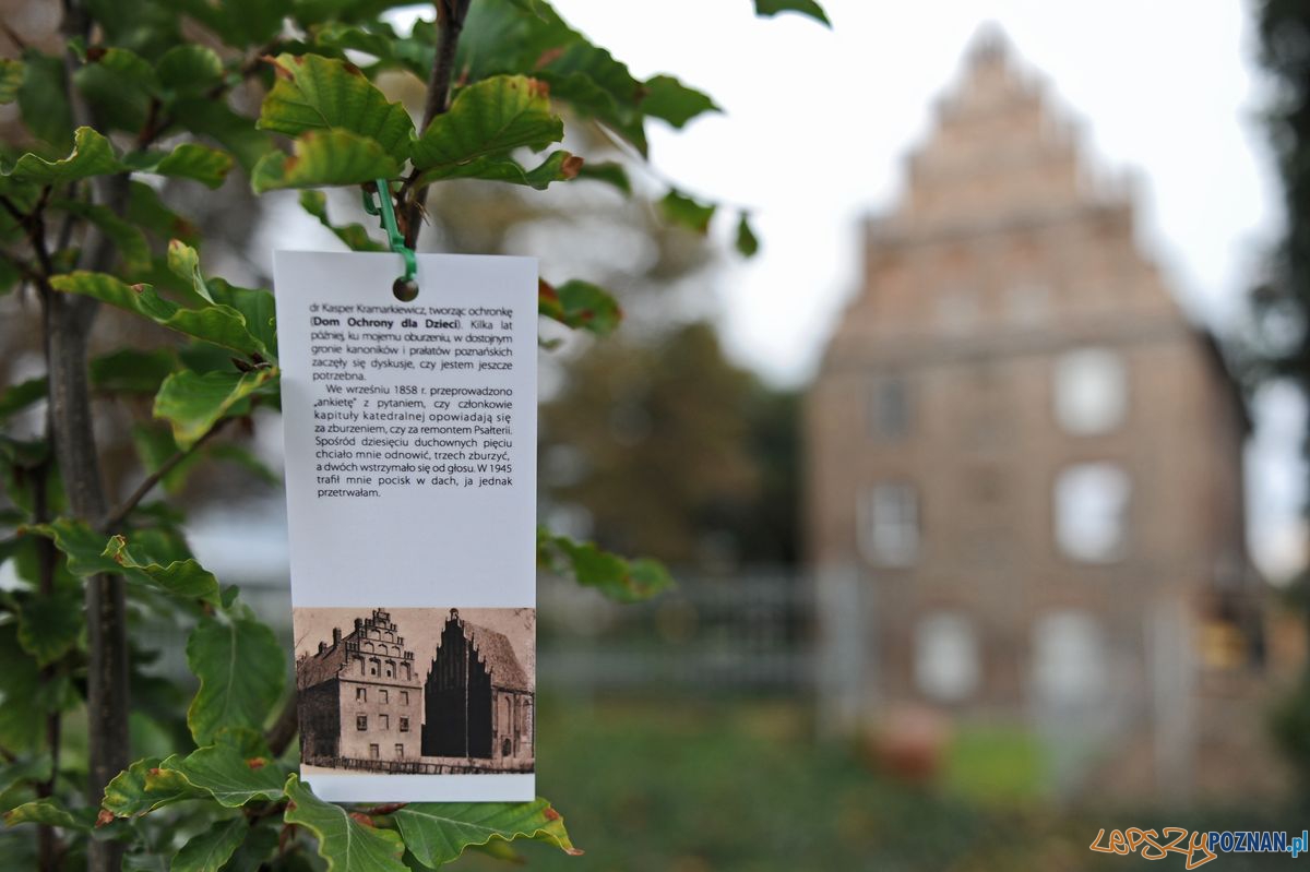 Brama Poznania - Europejskie Dni Dziedzictwa  Foto: Łukasz Gdak / Brama Poznania