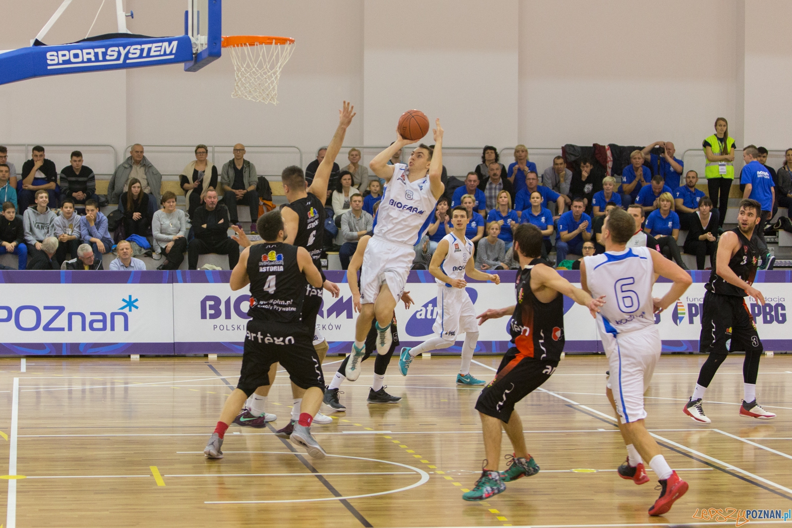 11. kolejka 1. ligi koszykówki mężczyzn -  Biofarm Basket Poz  Foto: lepszyPOZNAN.pl / Piotr Rychter