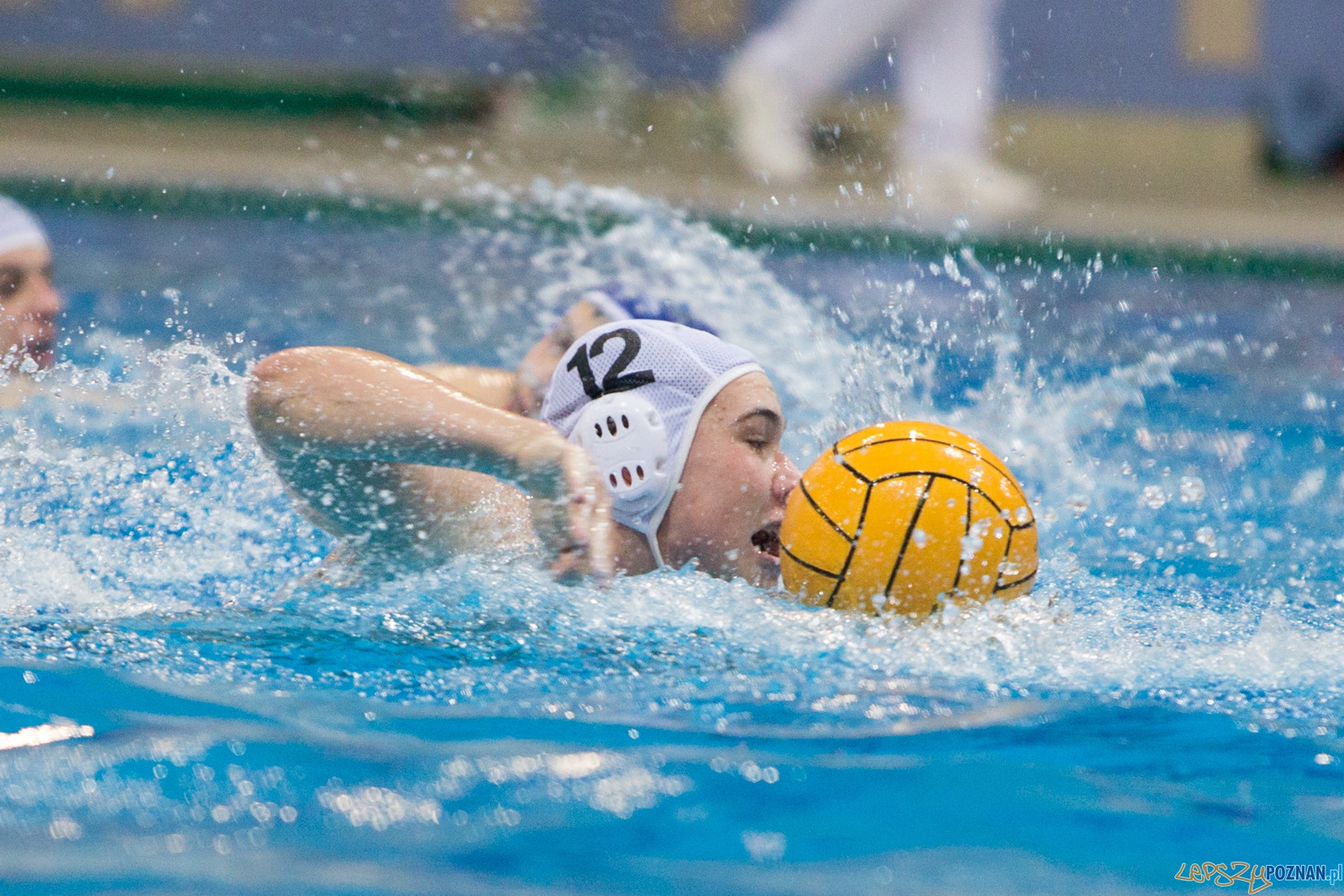 3. kolejka Ekstraklasy Piłki Wodnej - KS Waterpolo Poznań - GK  Foto: lepszyPOZNAN.pl / Piotr Rychter