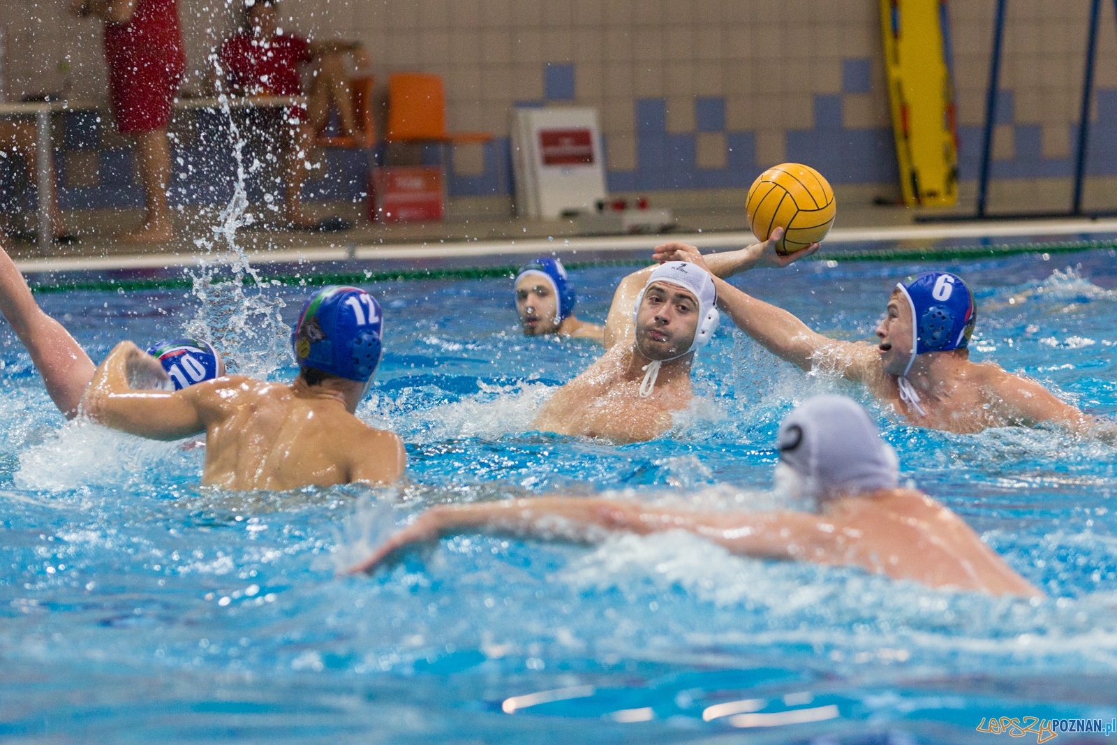 Malta Waterpolo Cup 2015 (KS Waterpolo Poznań - Alfa Gorzów Wl  Foto: lepszyPOZNAN.pl / Piotr Rychter