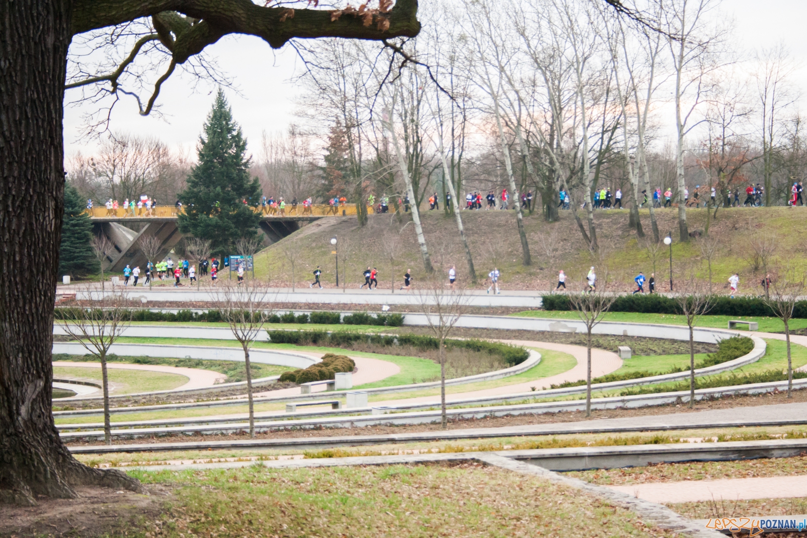 I Bieg Powstania Wielkopolskiego (27.12.2015) Cytadela  Foto: © lepszyPOZNAN.pl / Karolina Kiraga