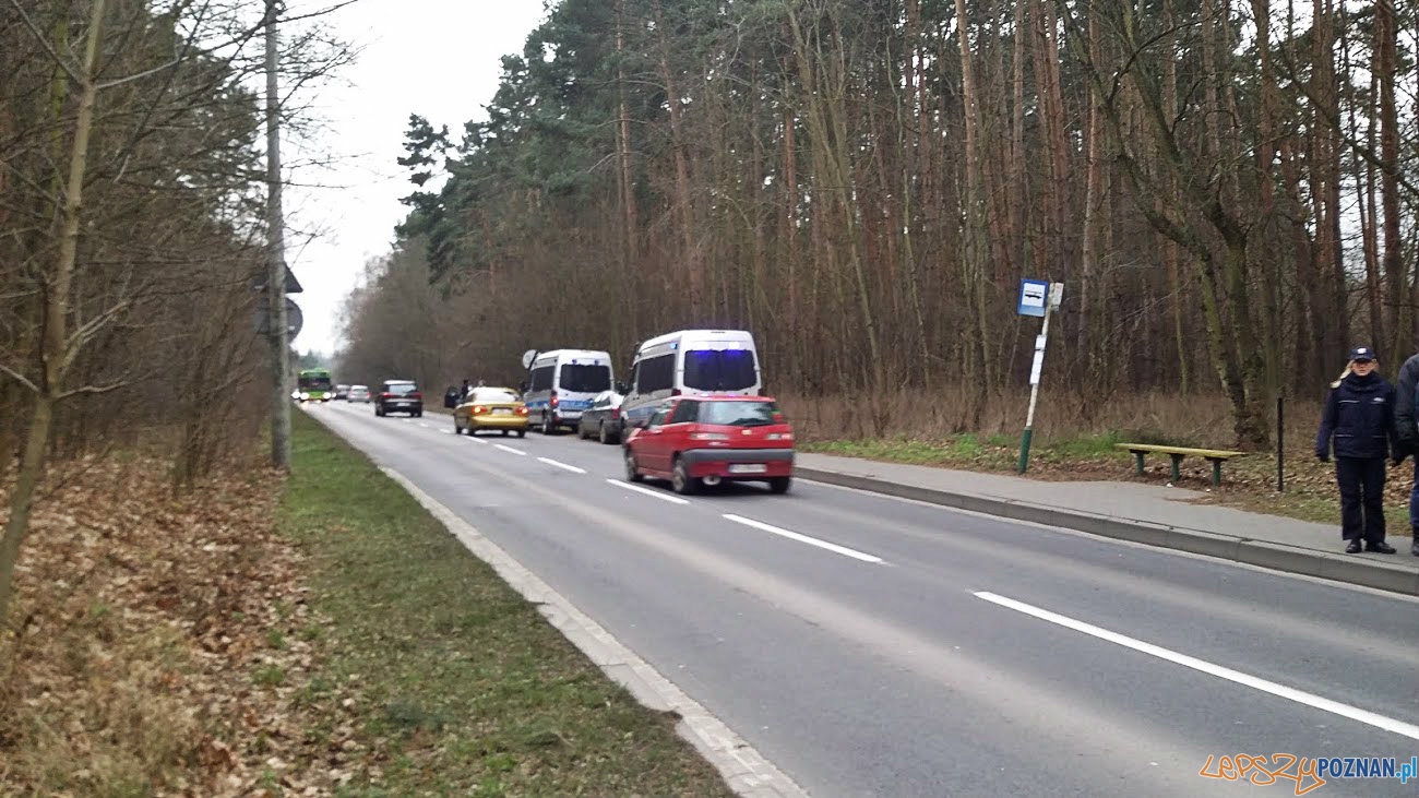 ul. Browarna, przystanek Młyn  Foto: lepszyPOZNAN.pl / tab