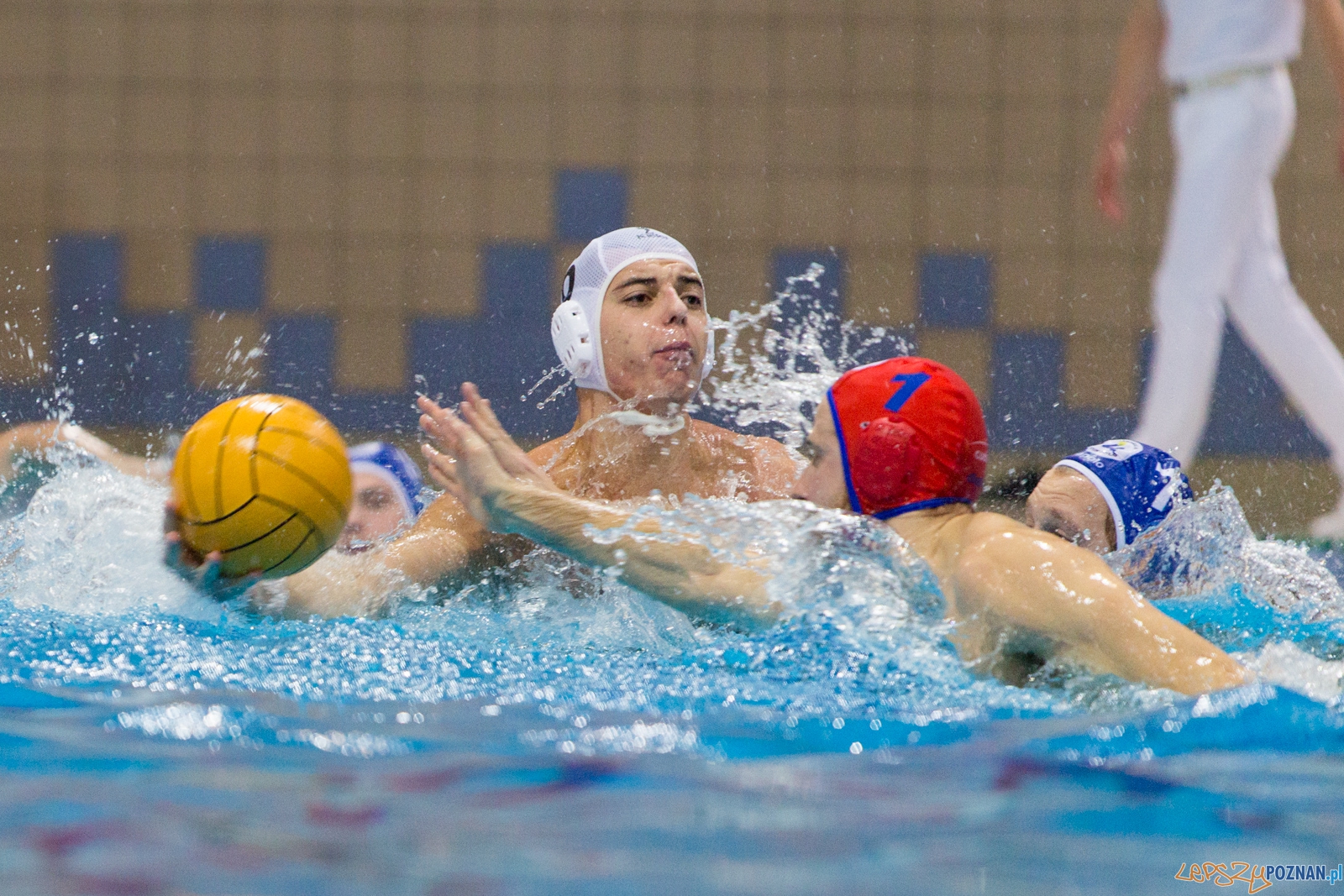 Malta Waterpolo Cup 2015 (Waterpolo Poznań - Järfälla/Szwecja  Foto: lepszyPOZNAN.pl / Piotr Rychter