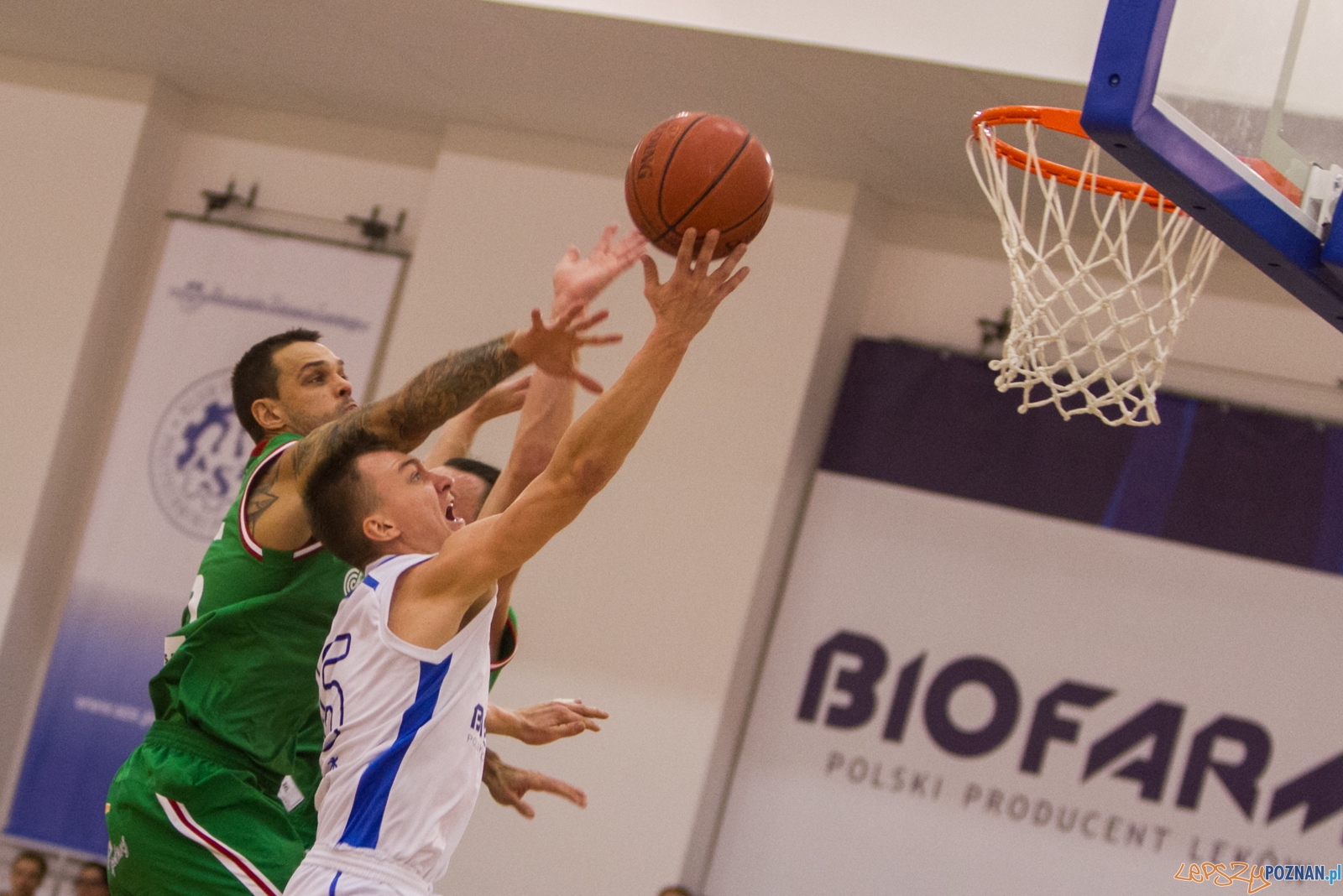 Biofarm Basket Poznań – Legia Warszawa 44:75 - Poznań 12.12.  Foto: LepszyPOZNAN.pl / Paweł Rychter