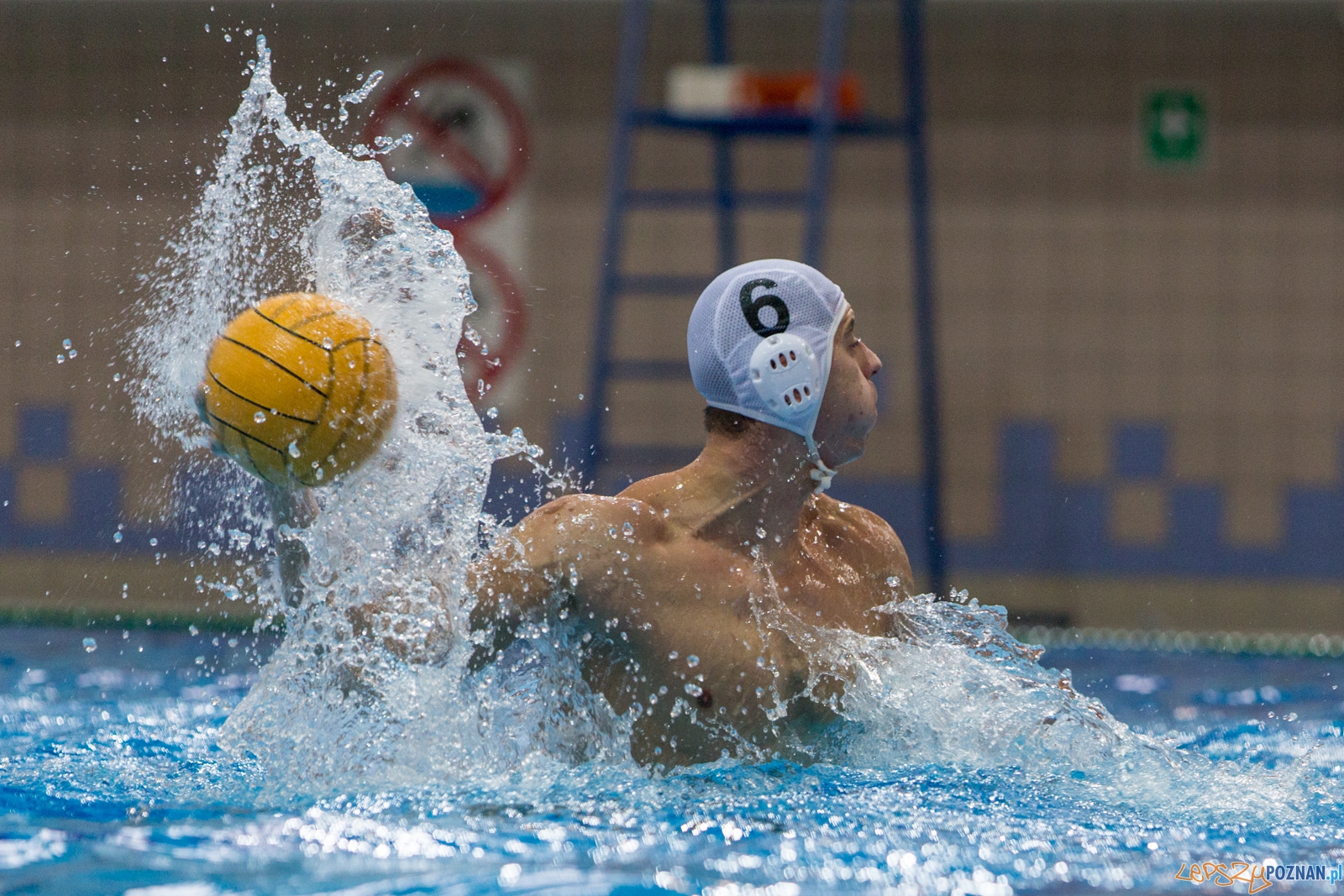 Malta Waterpolo Cup 2015 (KS Waterpolo Poznań - Alfa Gorzów Wl  Foto: lepszyPOZNAN.pl / Piotr Rychter