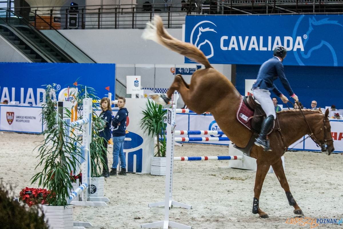 Cavaliada 2015 (12.12.2015)  Foto: © lepszyPOZNAN.pl / Karolina Kiraga