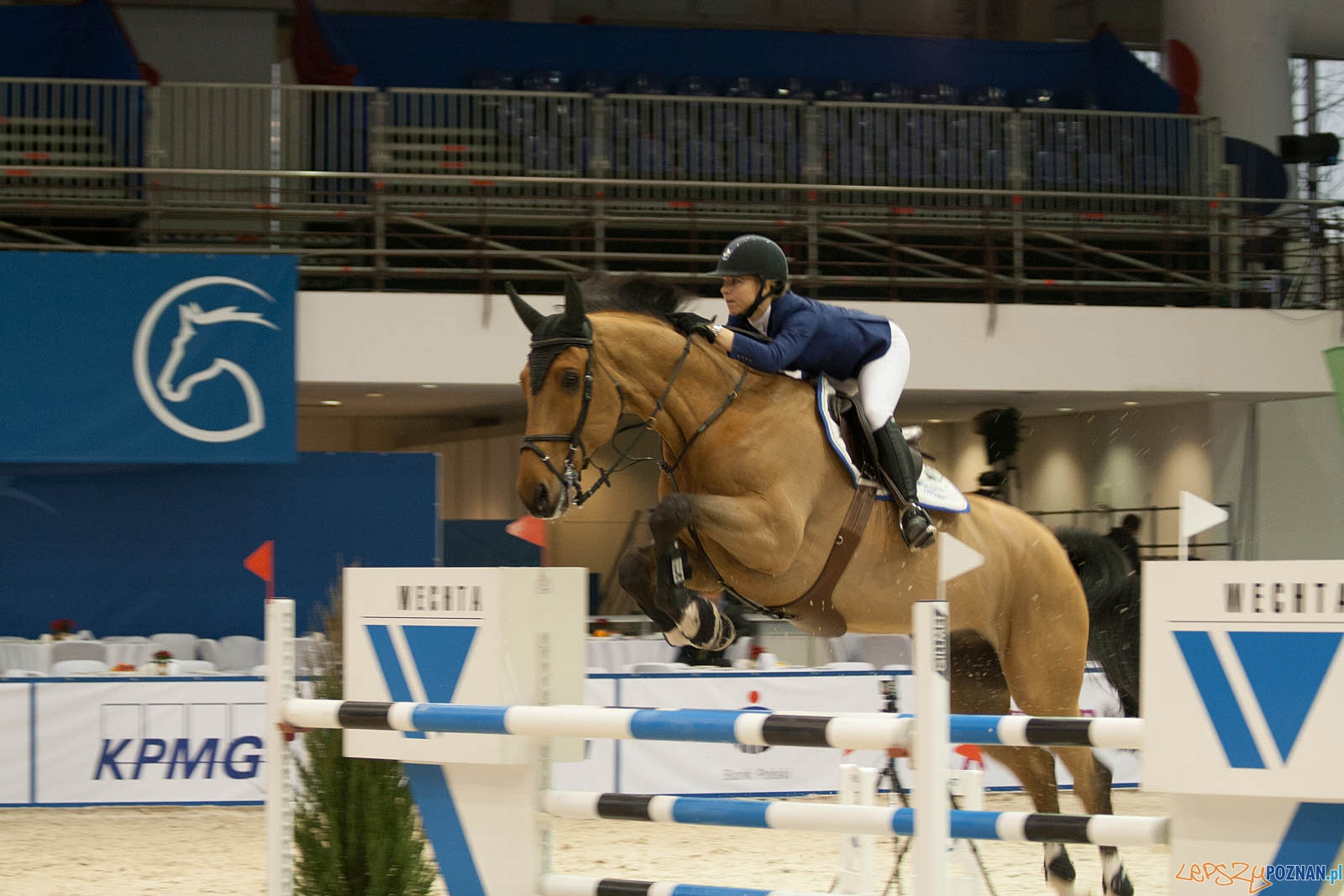 Cavaliada 2015  Foto: LepszyPOZNAN.pl / Ewelina Gutowska