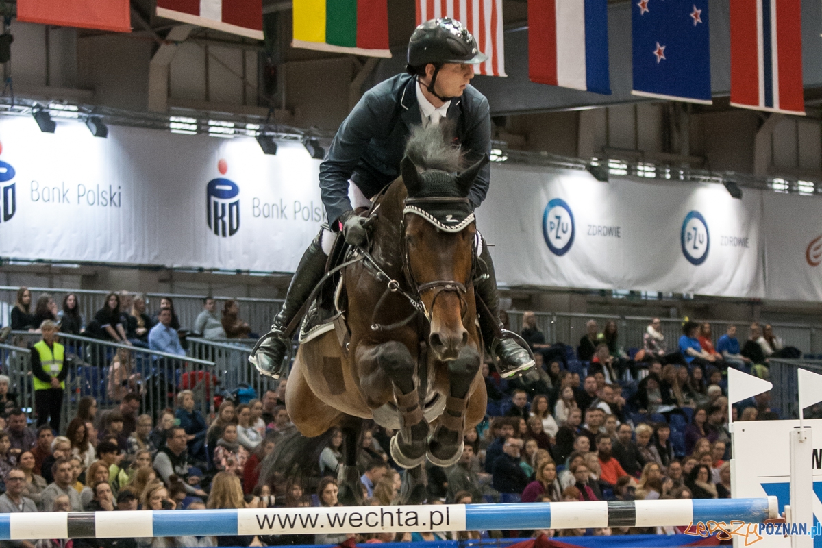 Cavaliada 2015 (12.12.2015)  Foto: © lepszyPOZNAN.pl / Karolina Kiraga