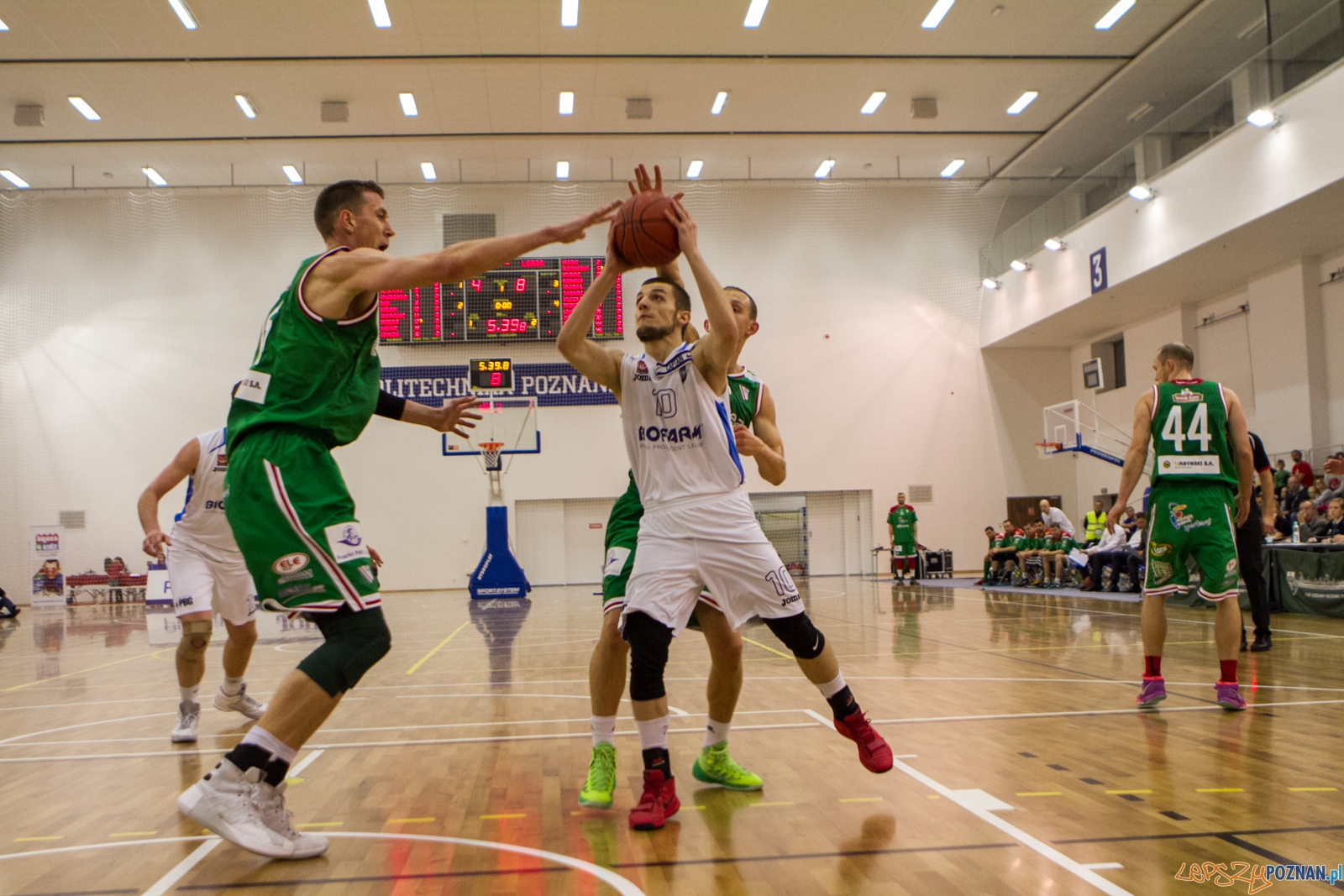 Biofarm Basket Poznań – Legia Warszawa 44:75 - Poznań 12.12.  Foto: LepszyPOZNAN.pl / Paweł Rychter