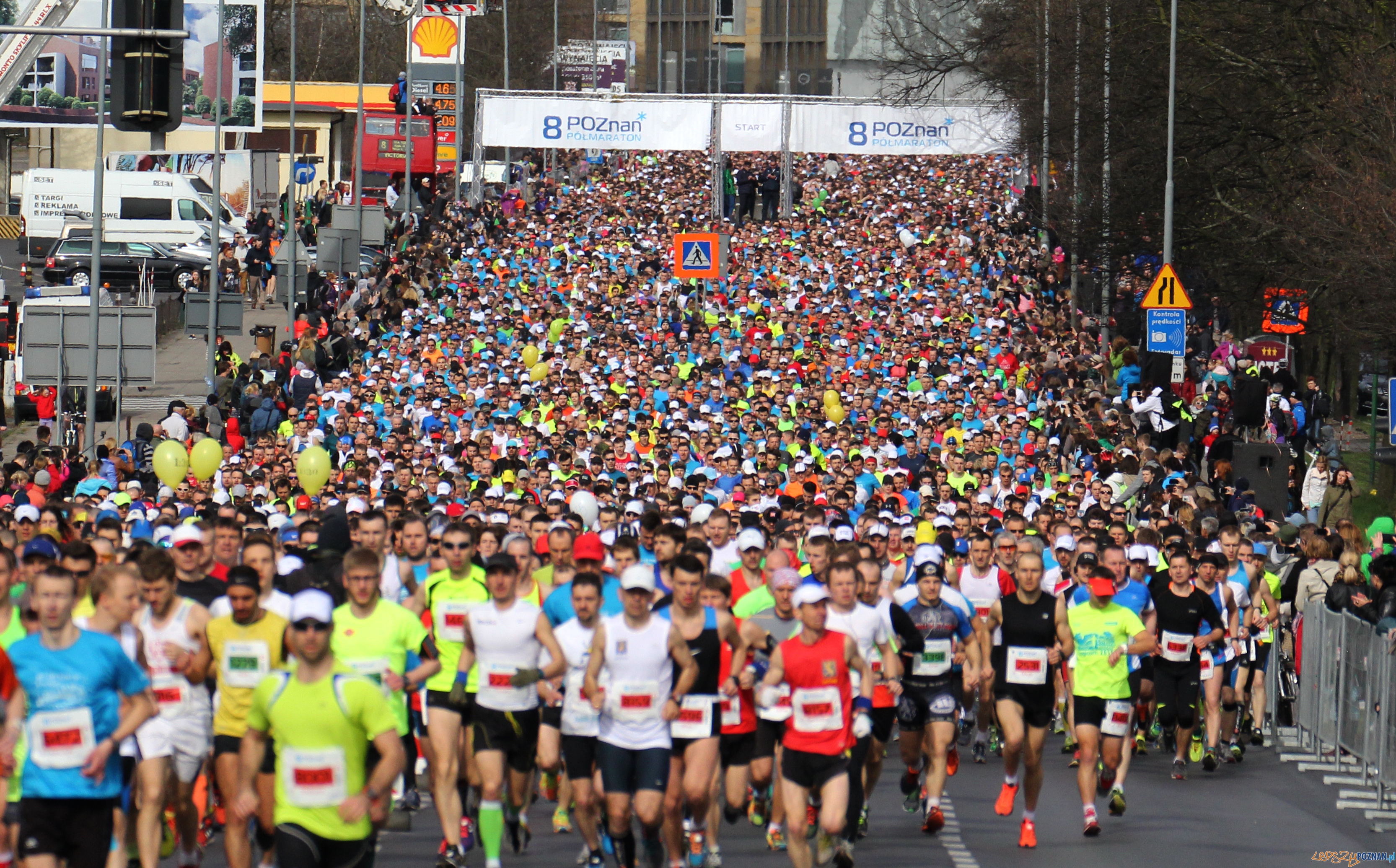 Półmaraton na starcie  Foto: POSiR