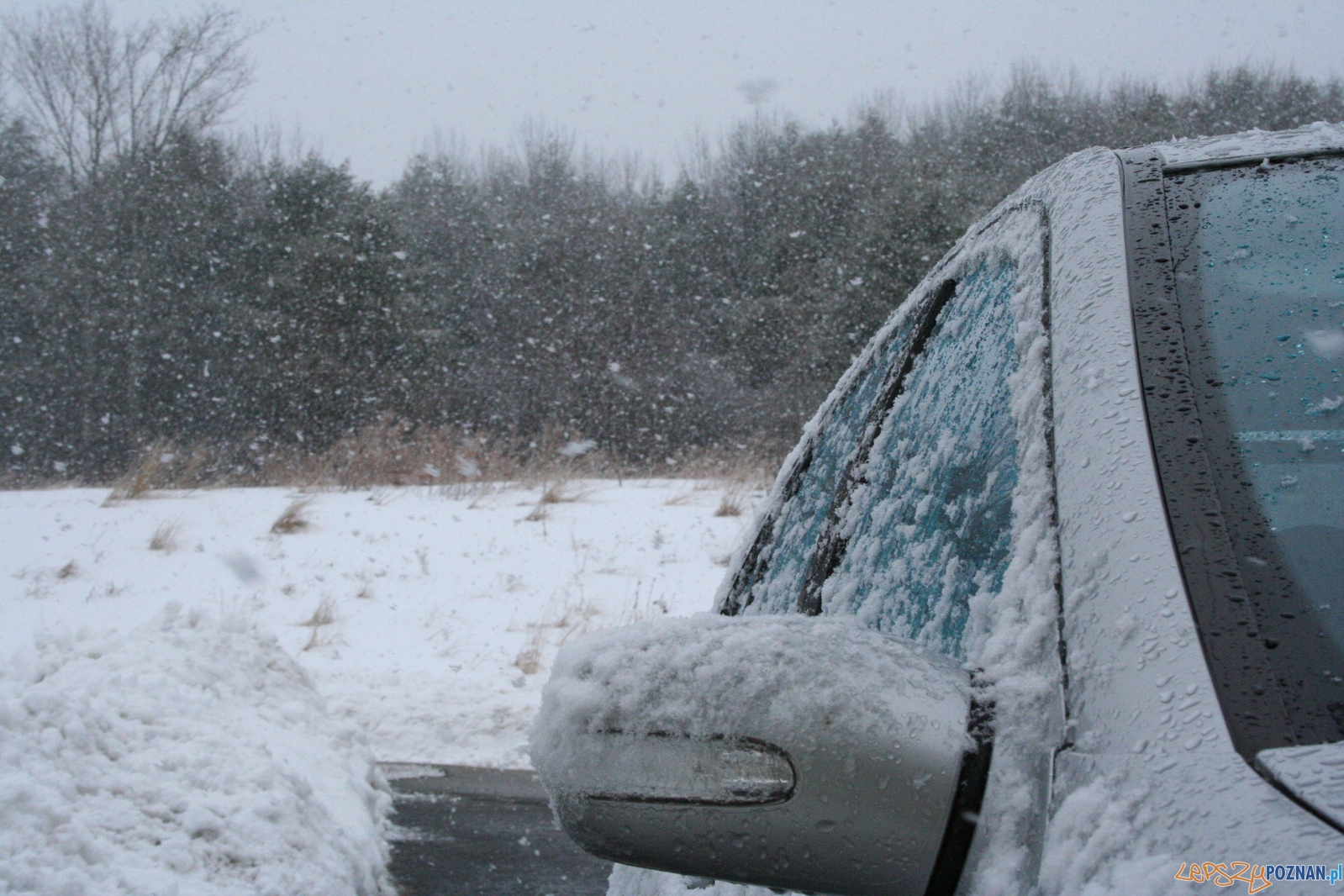 samochód zima  Foto: sxc / Michael Hornak