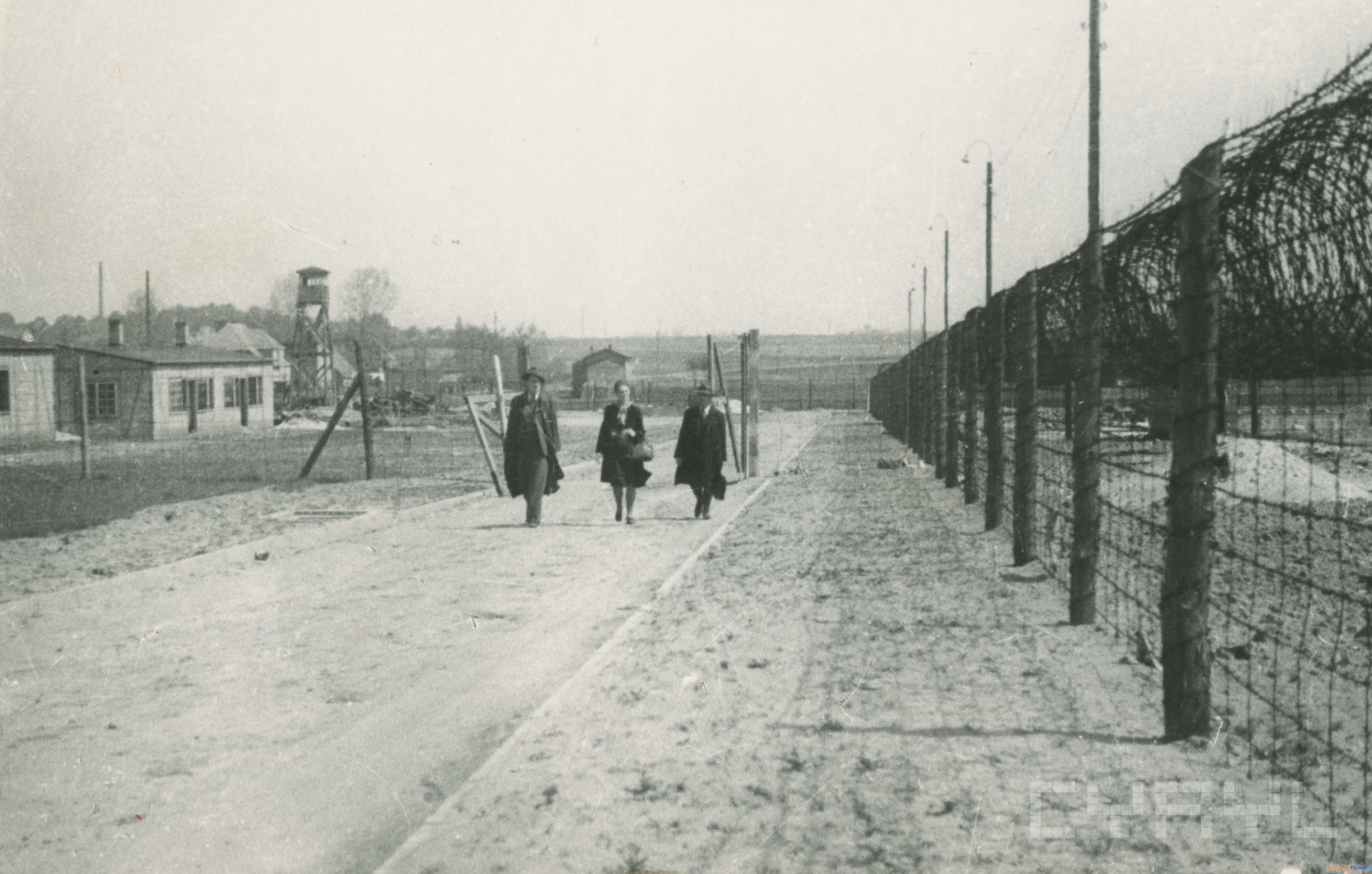 Obóz w Żabikowie po wyzoleniu 1945 r  Foto: Zbigniew Zielonacki / Cyryl 