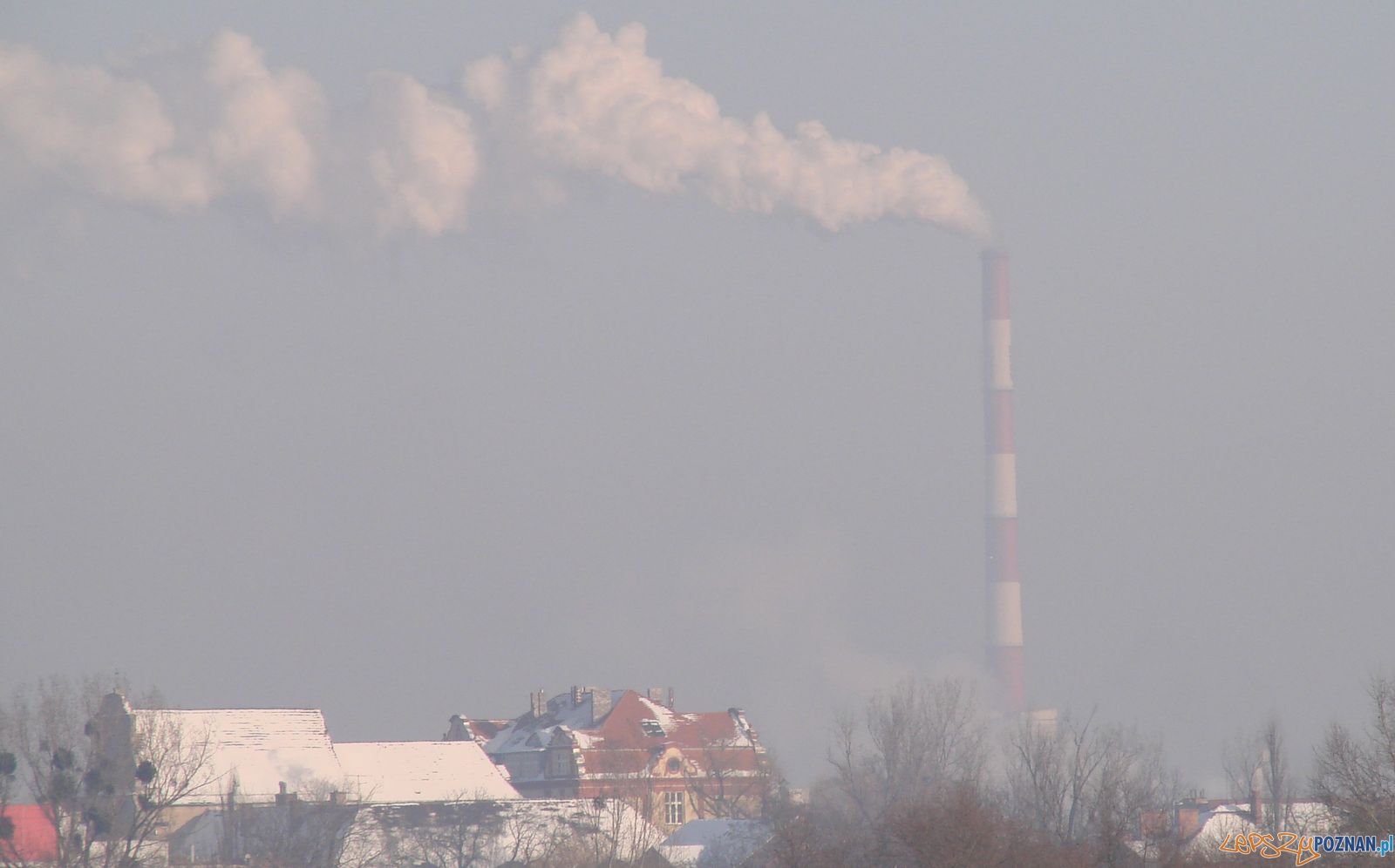 Smog w Poznaniu  Foto: 