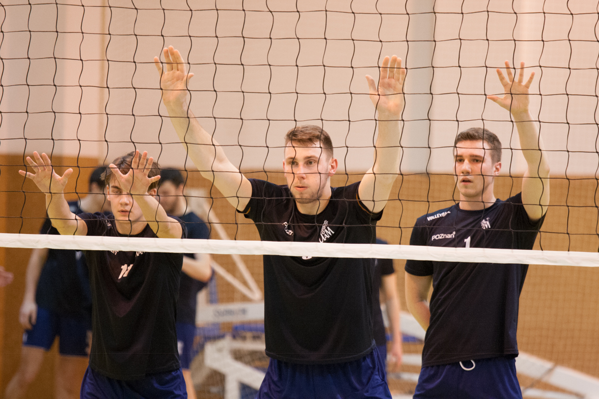 AZS UAM Poznań - Stal Grudziądz (30.01.2016)  Foto: © lepszyPOZNAN.pl / Karolina Kiraga