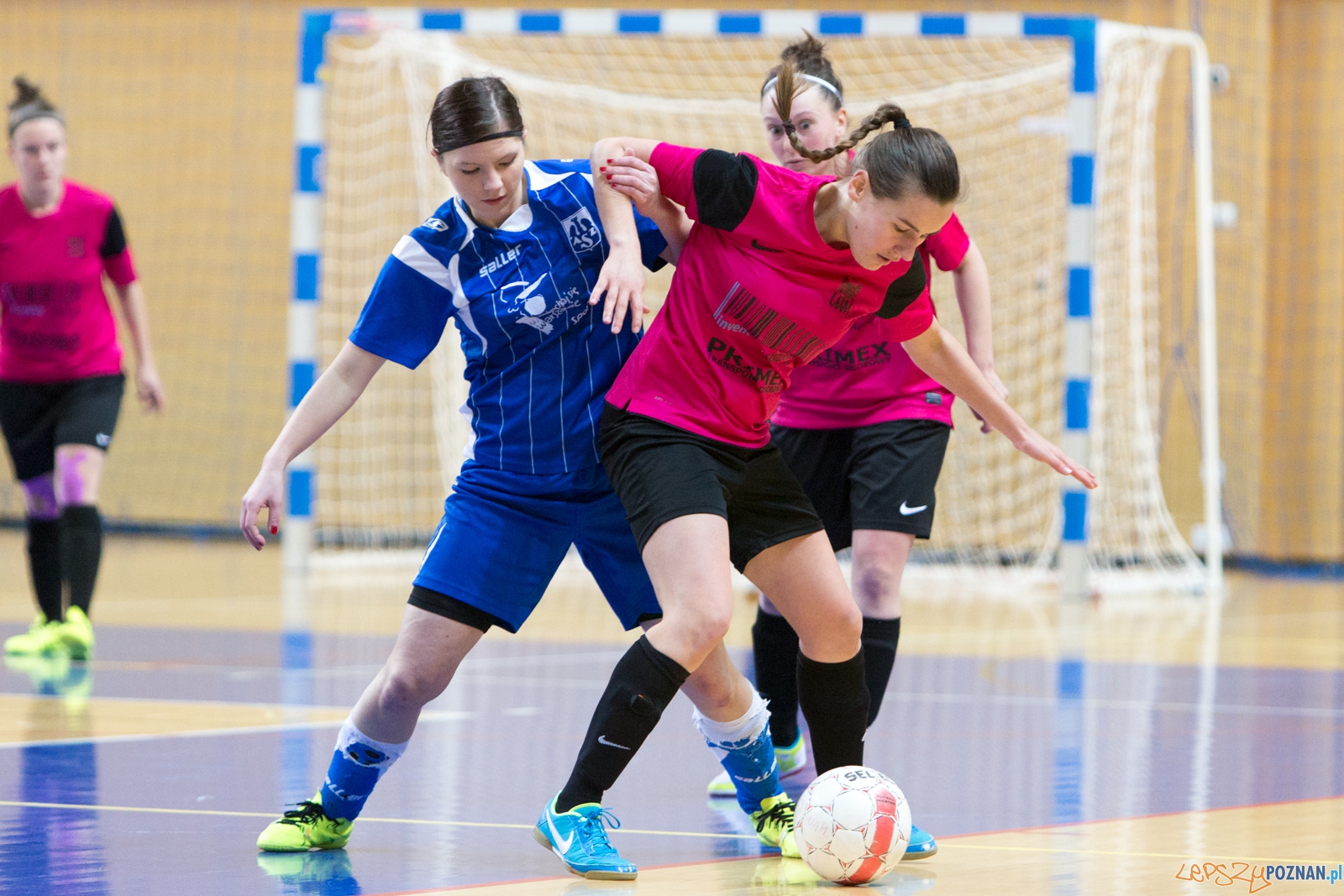 Futsal: AZS UAM Poznań – AZS Uniwersytet Warszawski  Foto: lepszyPOZNAN.pl / Piotr Rychter