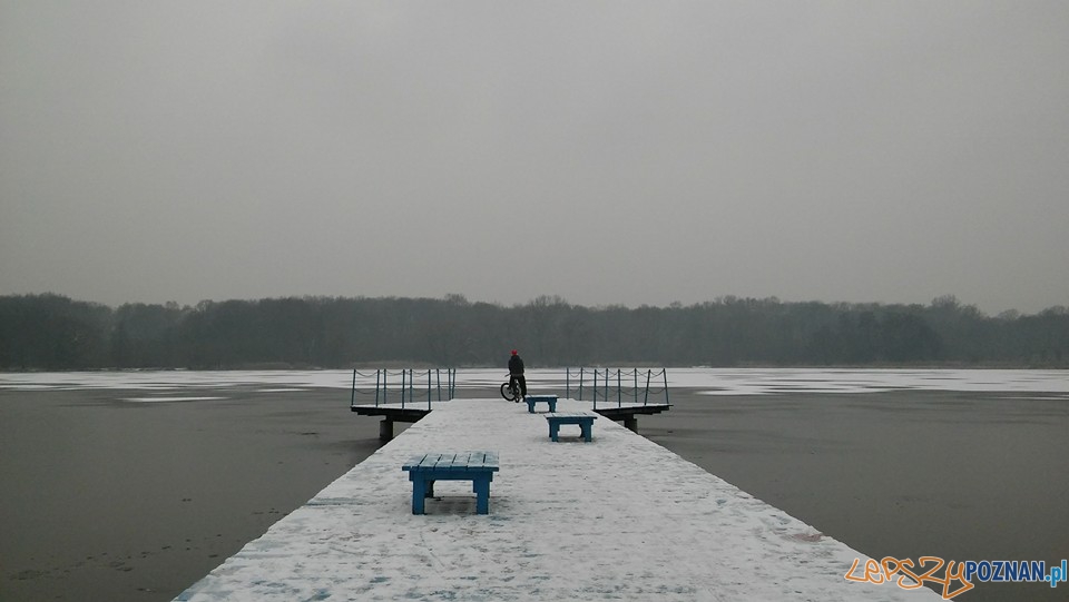 Jezioro Rusałka zimą  Foto: Paulina Walentowska