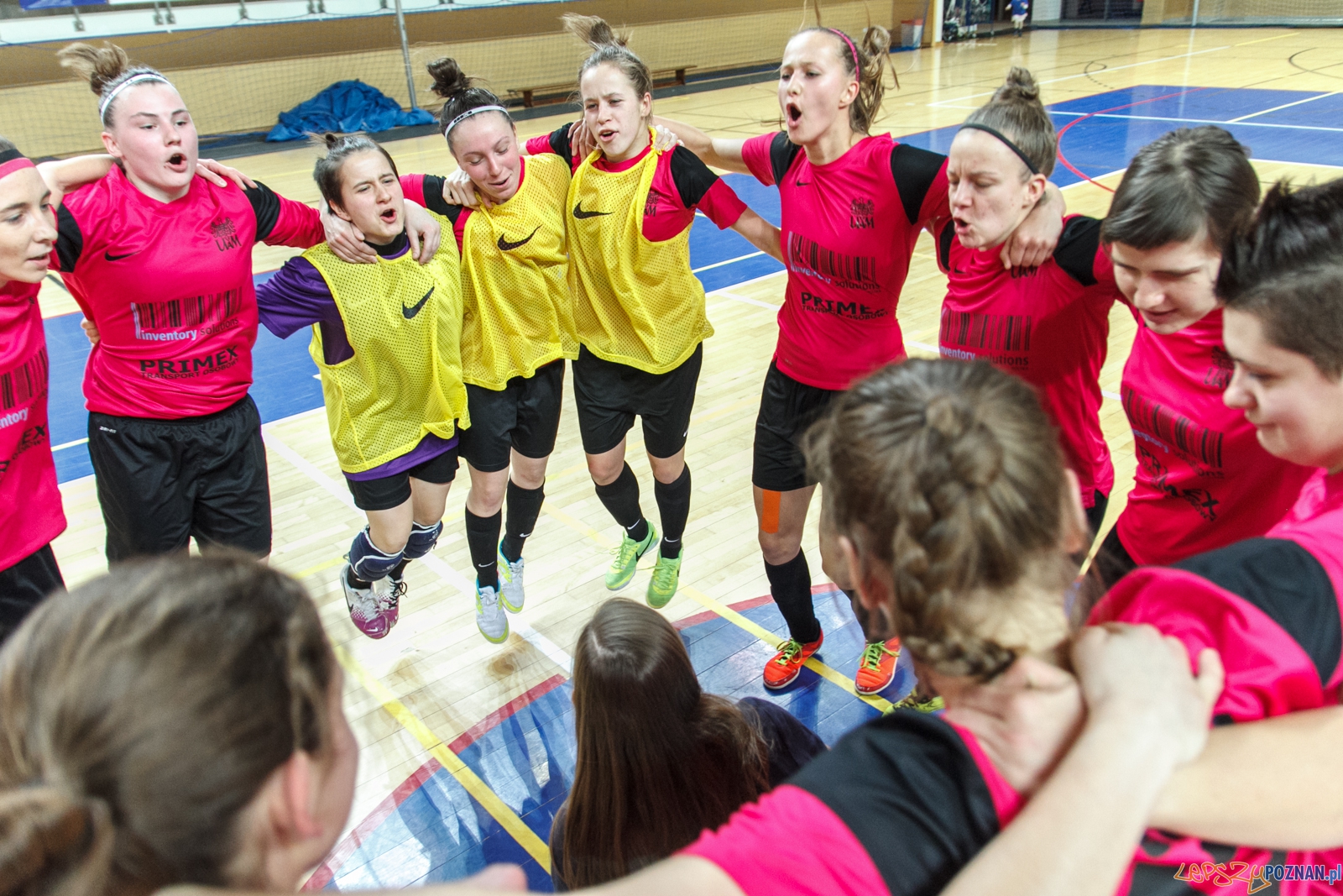 AZS UAM Poznań - AZS AWF Warszawa 8:2 (1:0) - Poznań 17.01.201  Foto: LepszyPOZNAN.pl / Paweł Rychter