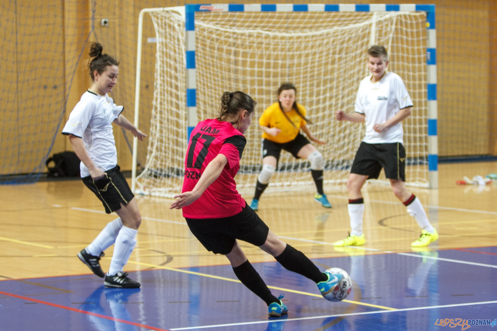 AZS UAM Poznań - Kresowiak Orion Siemiatycze 10:2 - Poznań 09.01.2016 r.  Foto: LepszyPOZNAN.pl / Paweł Rychter