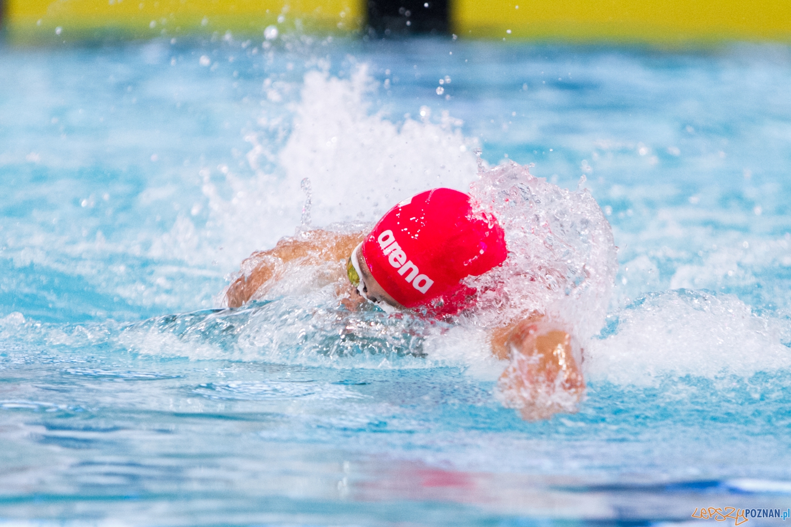 POZnań International Swimming Cup - Poznań 21.02.2016 r.  Foto: LepszyPOZNAN.pl / Paweł Rychter