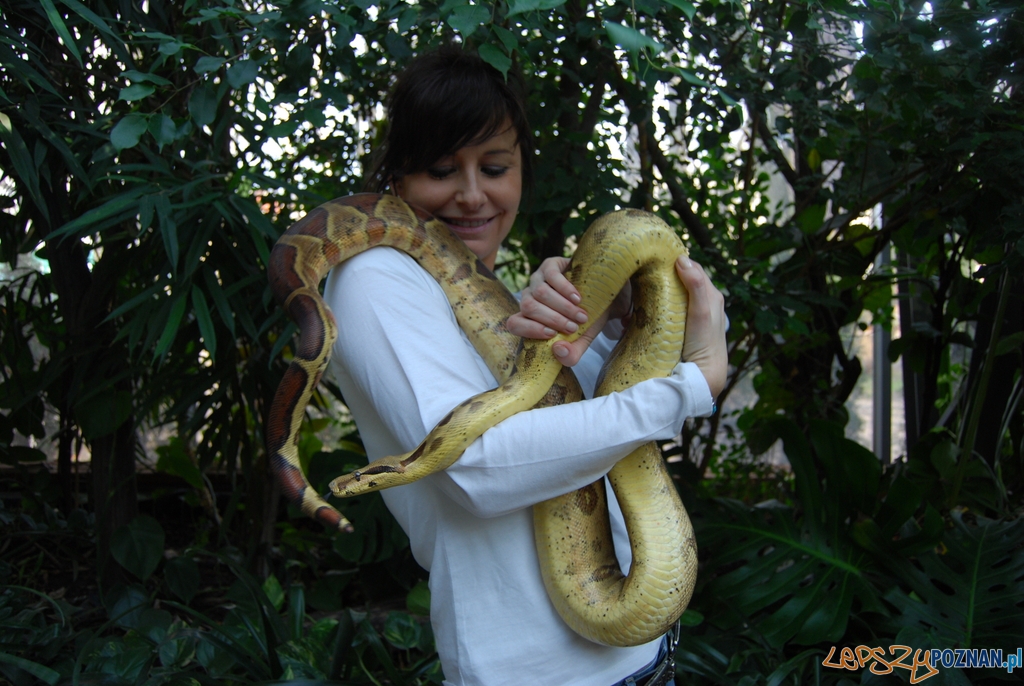 Anna Lubiatowska i Erni  Foto: ZOO Poznań