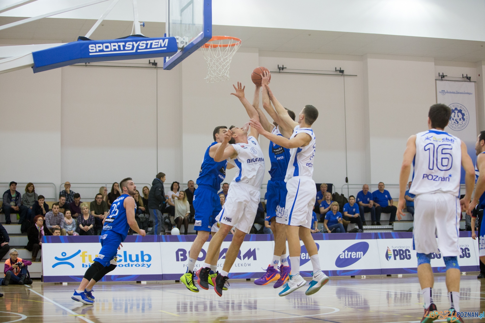 1 Liga Mężczyzn: Biofarm Basket Poznań - Meritumkredyt Pogoń  Foto: lepszyPOZNAN.pl / Piotr Rychter