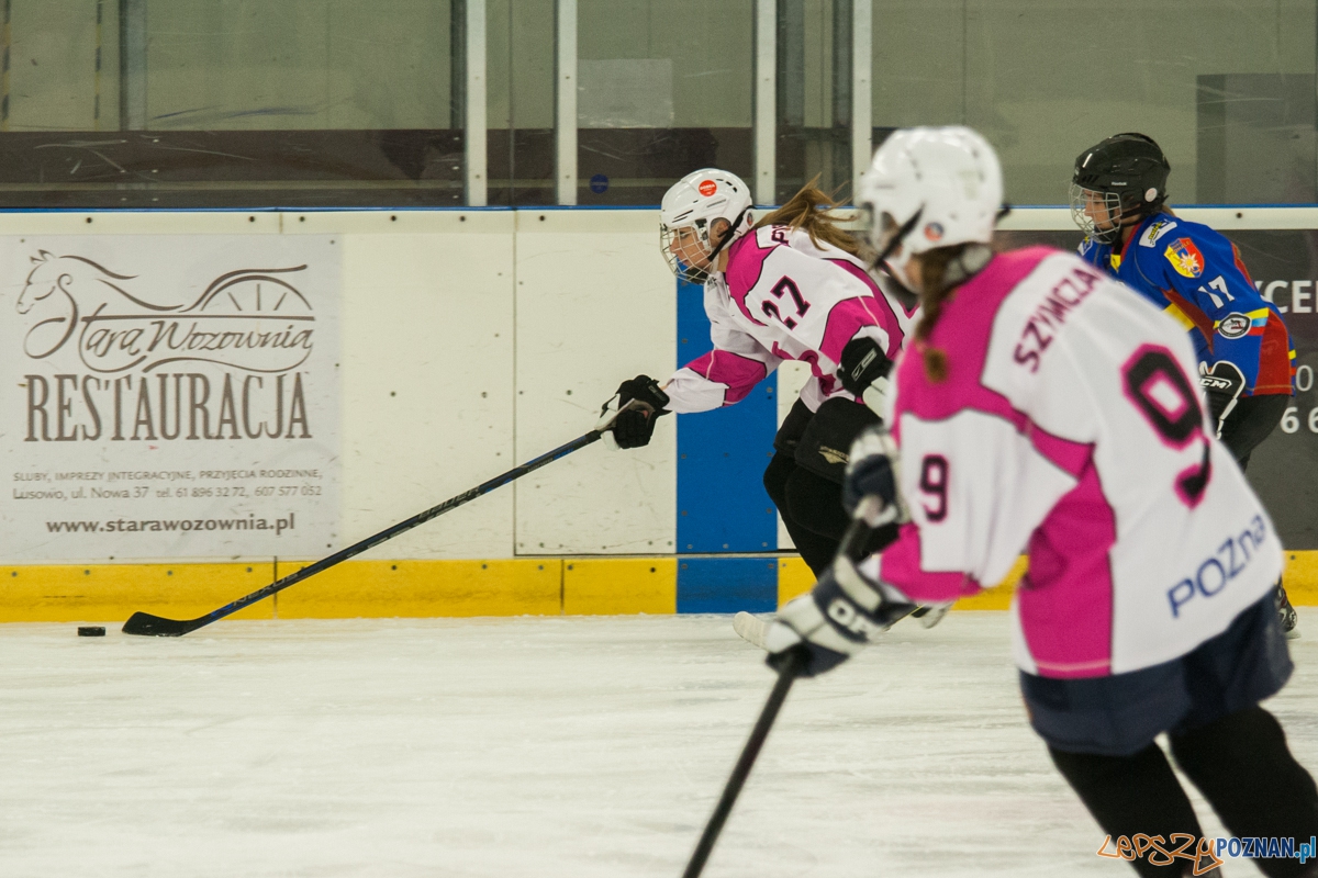 PTH Kozice Poznań - MMKS Podhale Nowy Targ (6.02.2016)  Foto: © lepszyPOZNAN.pl / Karolina Kiraga