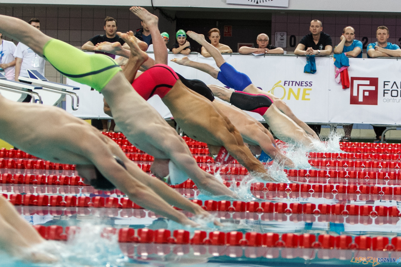 POZnań International Swimming Cup - Poznań 21.02.2016 r.  Foto: LepszyPOZNAN.pl / Paweł Rychter