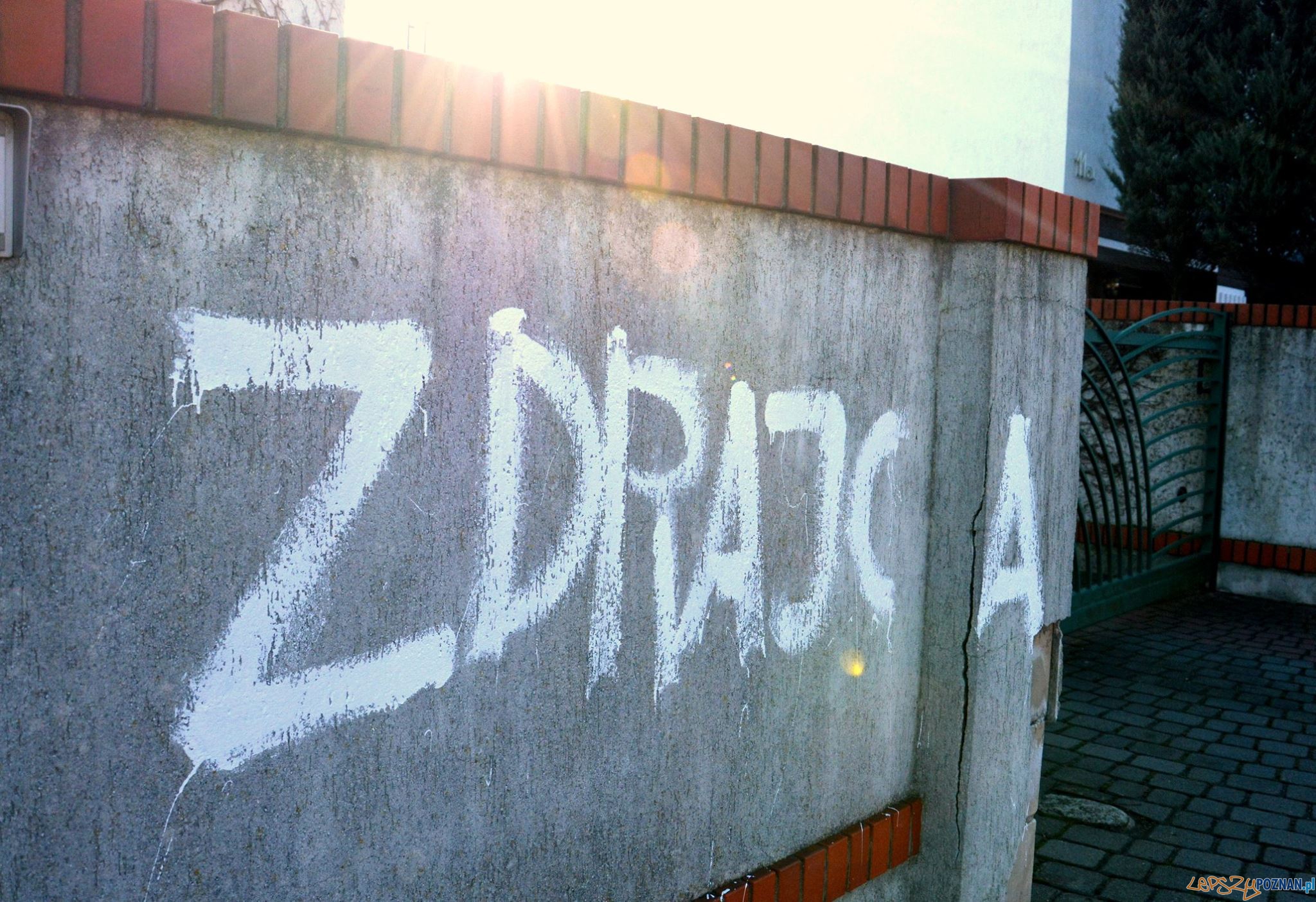 ZDRAJCA! - hasłem w Prezydenta Poznania  Foto: Jacek Jaśkowiak