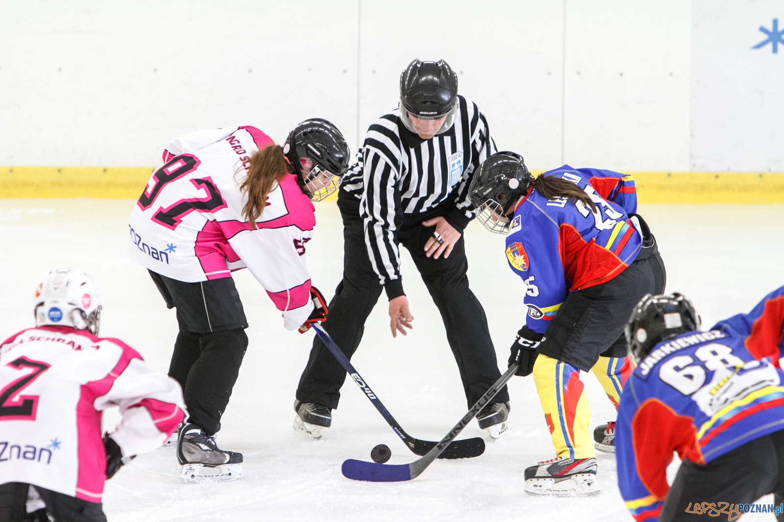 PTH Kozice - Podhale Nowy Targ - Poznań 07.02.2016 r.  Foto: LepszyPOZNAN.pl / Paweł Rychter