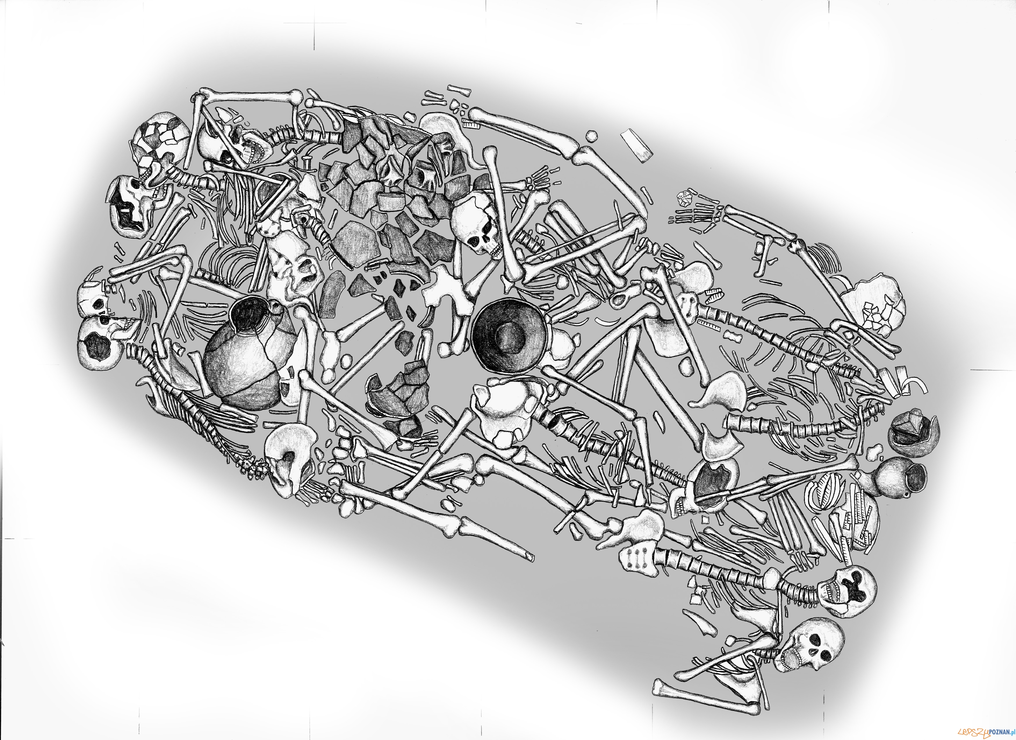 Grafika przedstawiająca układ szkieletów  Foto: Grafika. M. Podsiadło
