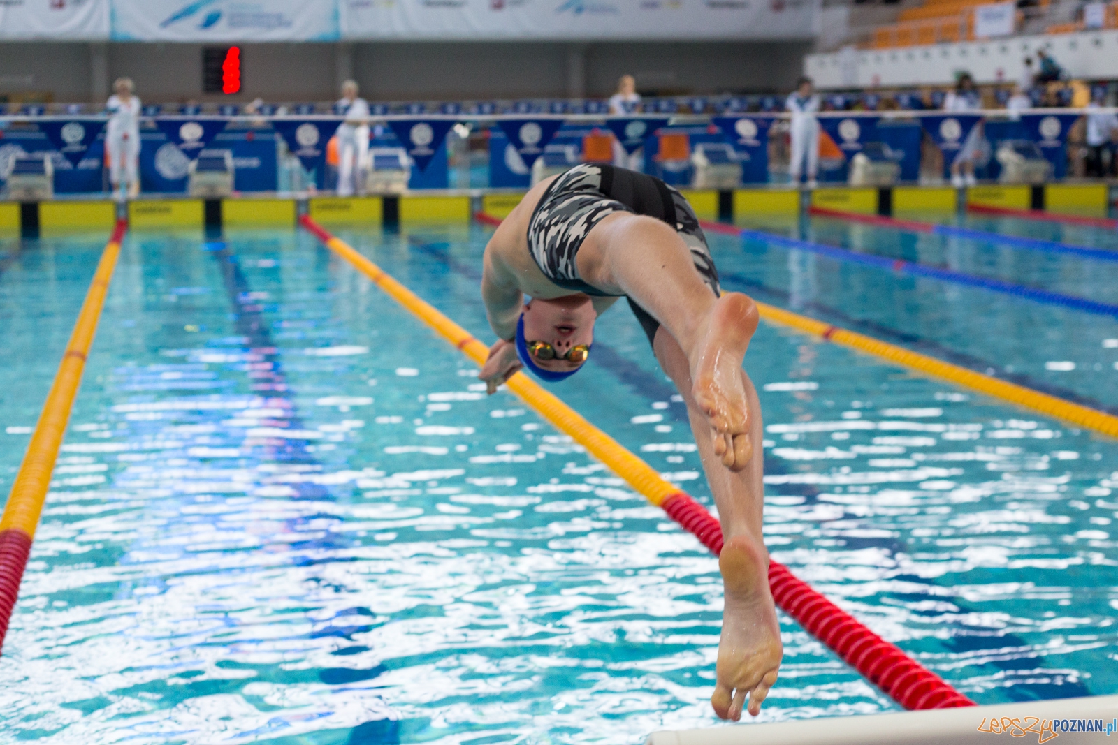 POZnań International Swimming Cup  Foto: lepszyPOZNAN.pl / Piotr Rychter