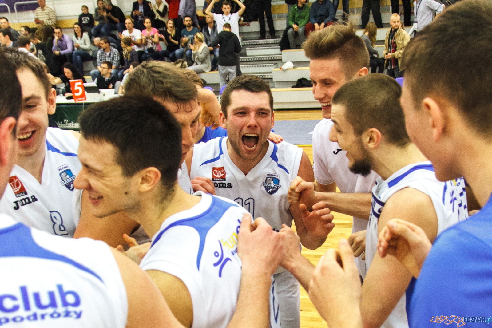 Biofarm Basket Poznań - Max Elektro Sokół Łańcut 56:50 - Po  Foto: LepszyPOZNAN.pl / Paweł Rychter