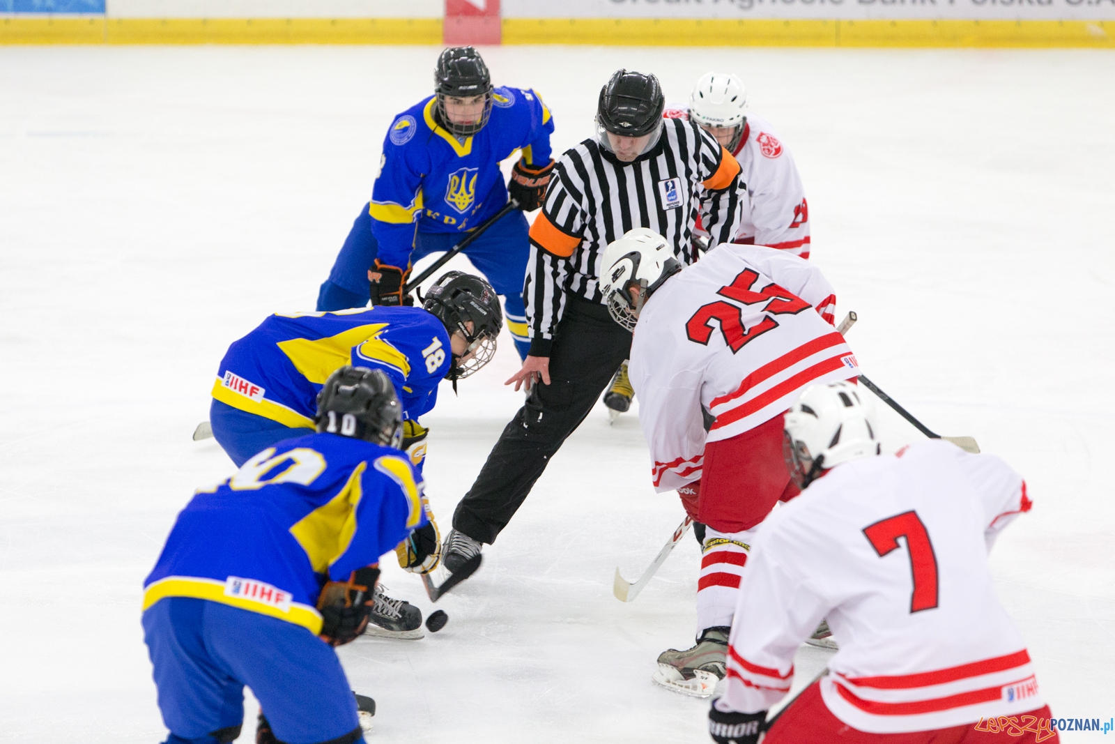 Międzynarodowy turniej hokeja na lodzie U18 (Polska - Ukraina)  Foto: lepszyPOZNAN.pl / Piotr Rychter