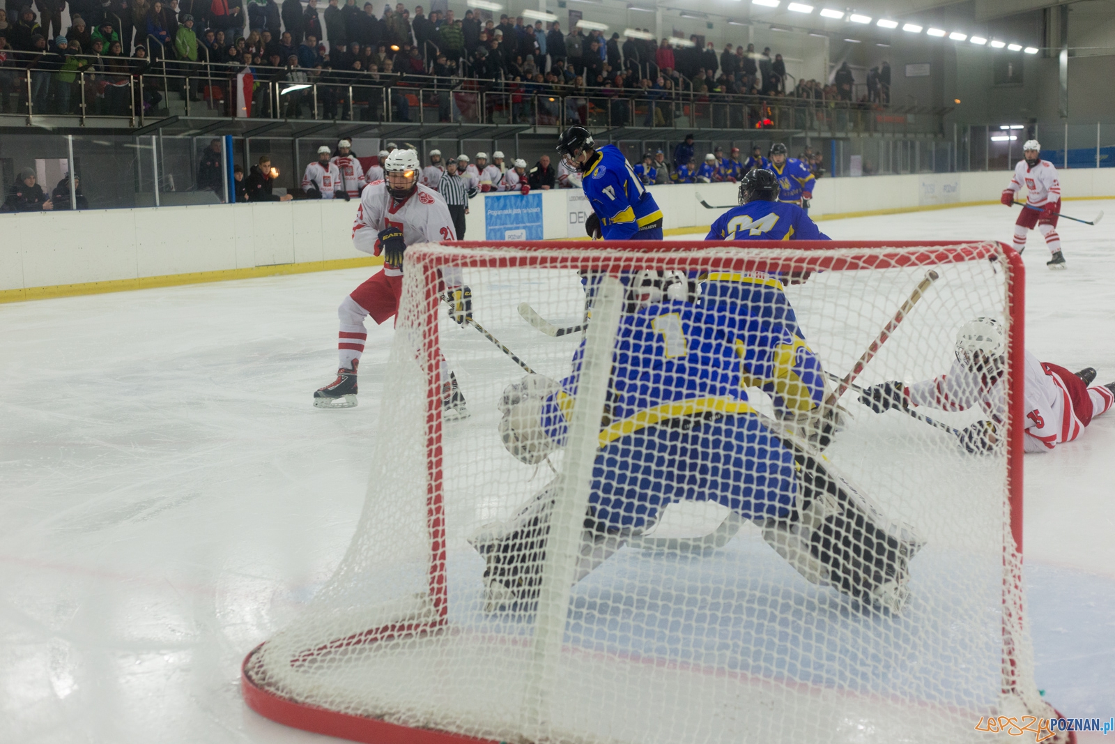 Międzynarodowy turniej hokeja na lodzie U18 (Polska - Ukraina)  Foto: lepszyPOZNAN.pl / Piotr Rychter