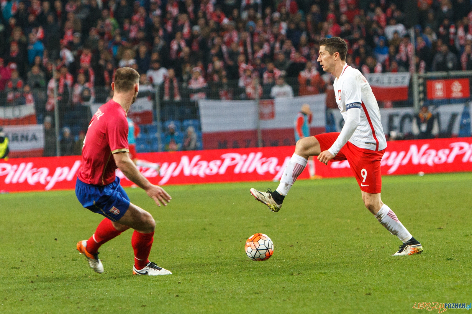 Mecz towarzyski: Polska - Serbia 1:0 - Poznań 23.03.2016 r.  Foto: LepszyPOZNAN.pl / Paweł Rychter