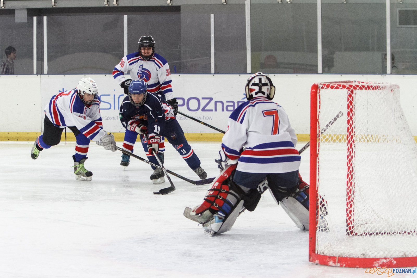 U14: Koziołki Poznań - Sokoły Toruń 2:13 - Poznań 05.03.2016 r.  Foto: LepszyPOZNAN.pl / Paweł Rychter