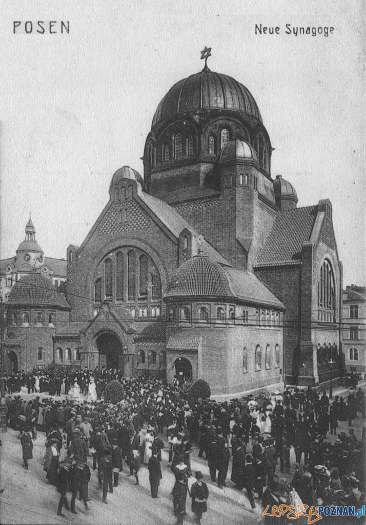 Nowa Synagoga  Foto: 