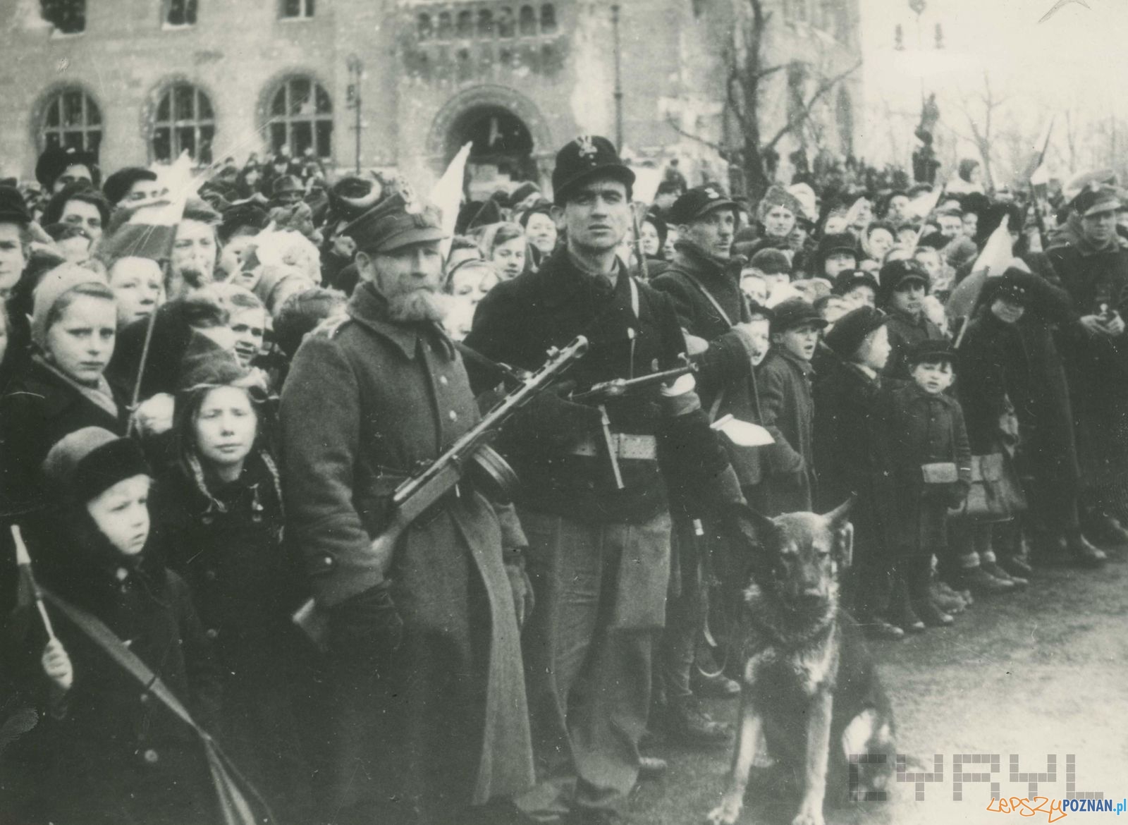 Poznaniacy przez Zamkiem podczas defilady po zakończeniu walk o Poznań - 8.03.1945  Foto: Zbigniew Zielonacki / Cyryl