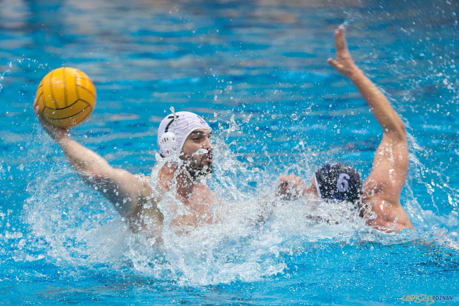 KS Waterpolo Poznań – OCMER UŁ ŁSTW (spotkanie rewanżowe)  Foto: lepszyPOZNAN.pl / Piotr Rychter