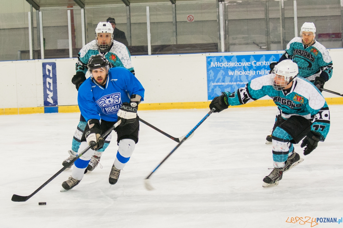 II liga, Malgips Dragons Gdańsk - Hokej Poznań (6.03.2016)  Foto: © lepszyPOZNAN.pl / Karolina Kiraga