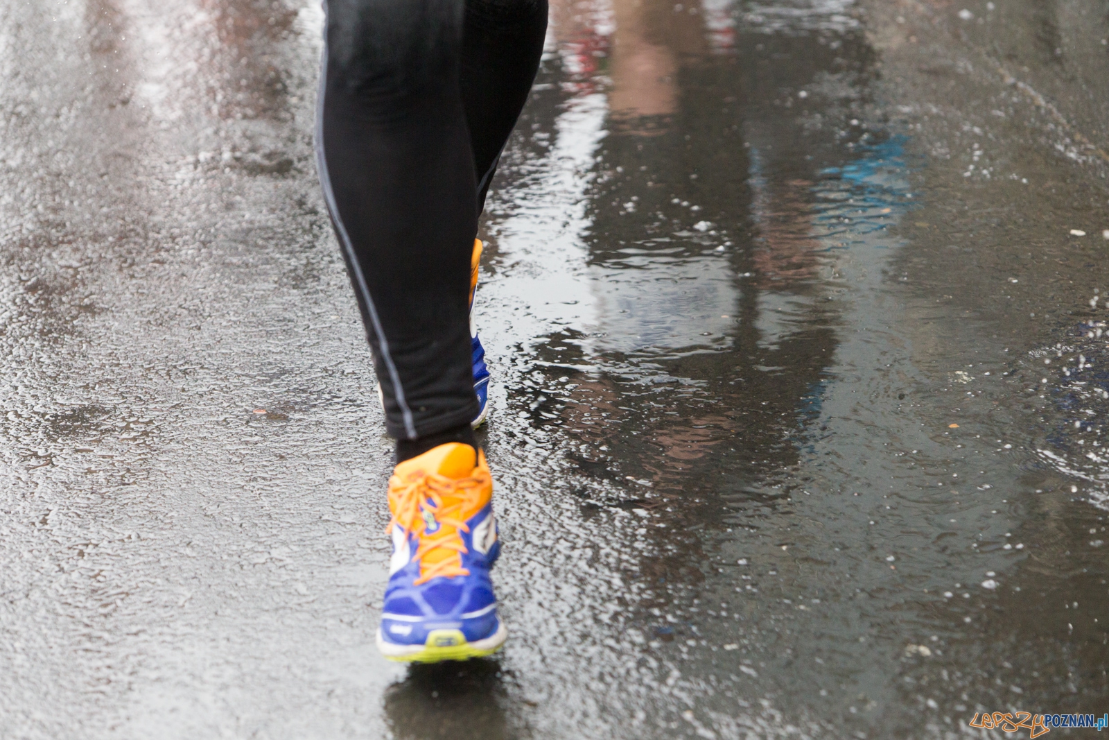 9. Poznań Półmaraton  Foto: lepszyPOZNAN.pl / Piotr Rychter