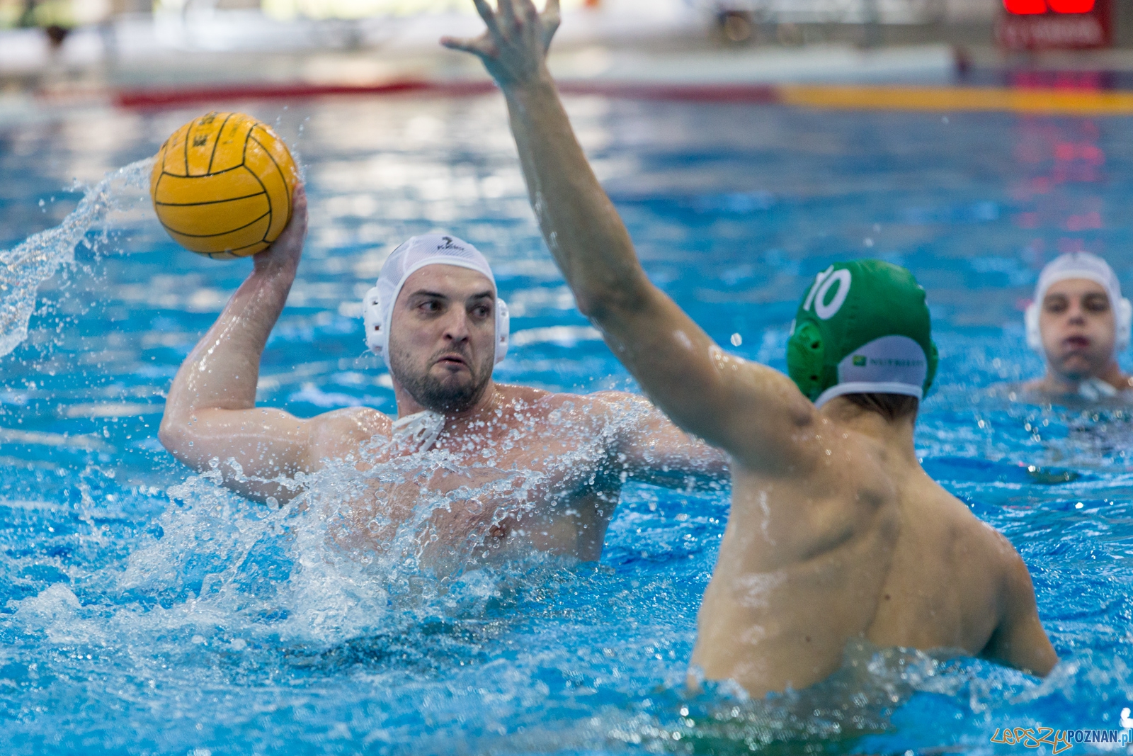 KS Waterpolo Poznań - Legia Warszawa  Foto: lepszyPOZNAN.pl / Piotr Rychter