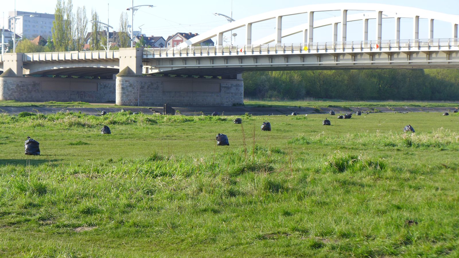 Bałagan nad Wartą - posprzataj po sobie (2)  Foto: UMP