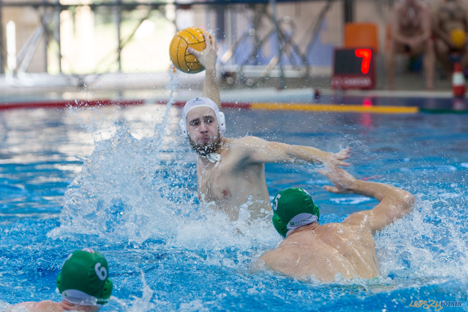 KS Waterpolo Poznań - Legia Warszawa  Foto: lepszyPOZNAN.pl / Piotr Rychter