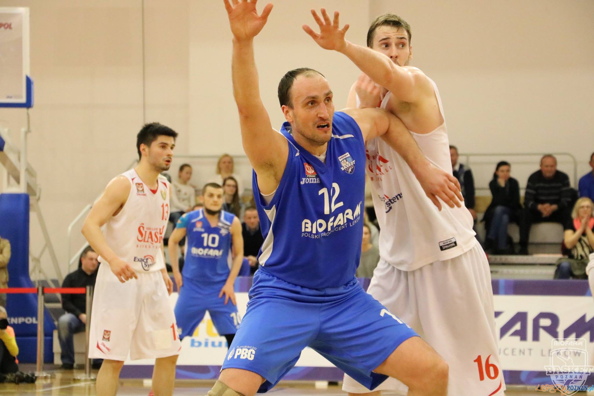 Biofarm Basket vs Śląsk Wrocław (1)  Foto: materiały prasowe