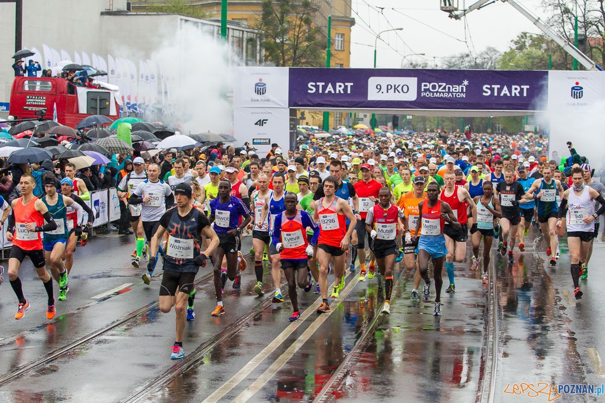 9. Poznański Półmaraton  Foto: Przemysław Szyszka