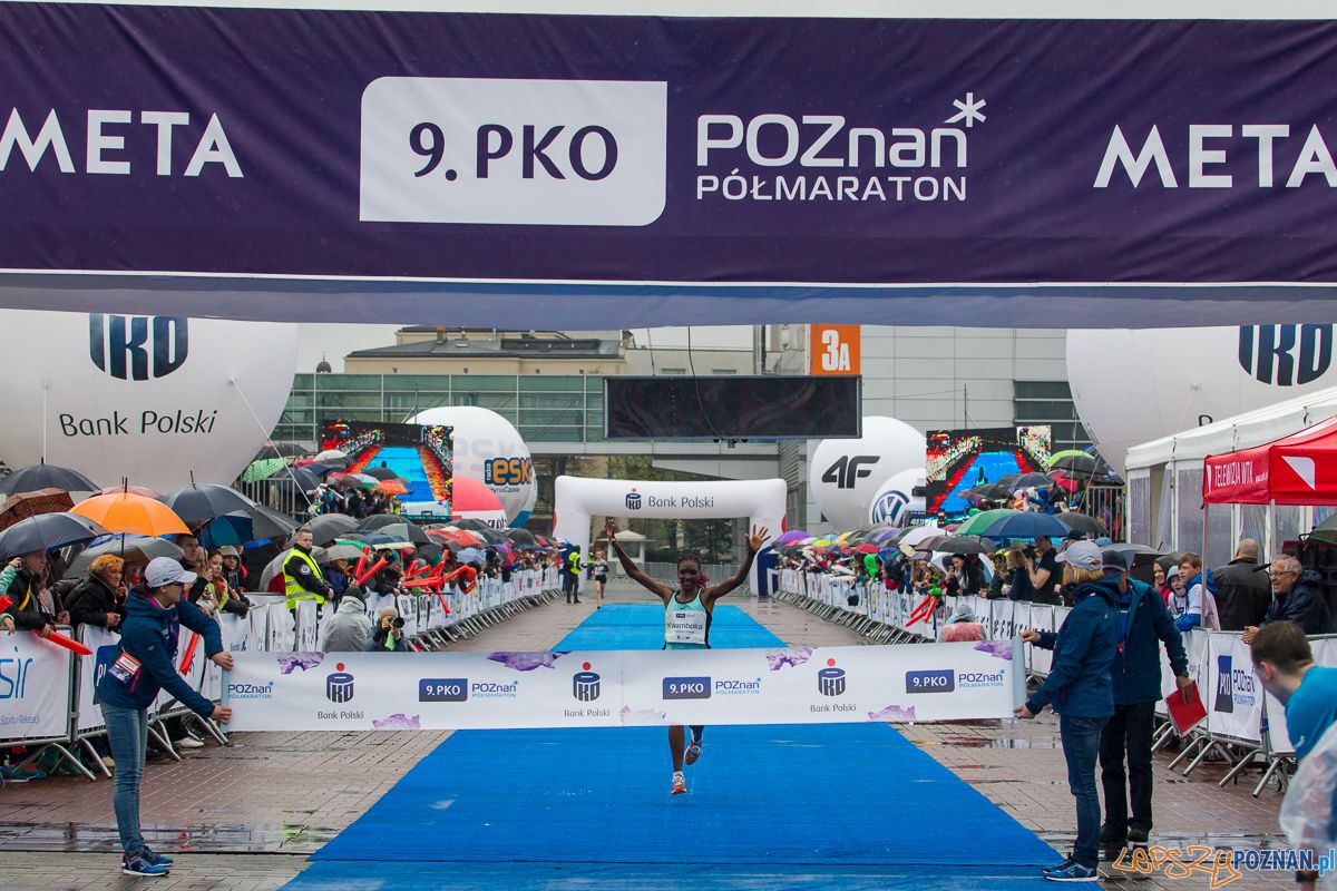 9. Poznański Półmaraton  Foto: Przemysław Szyszka