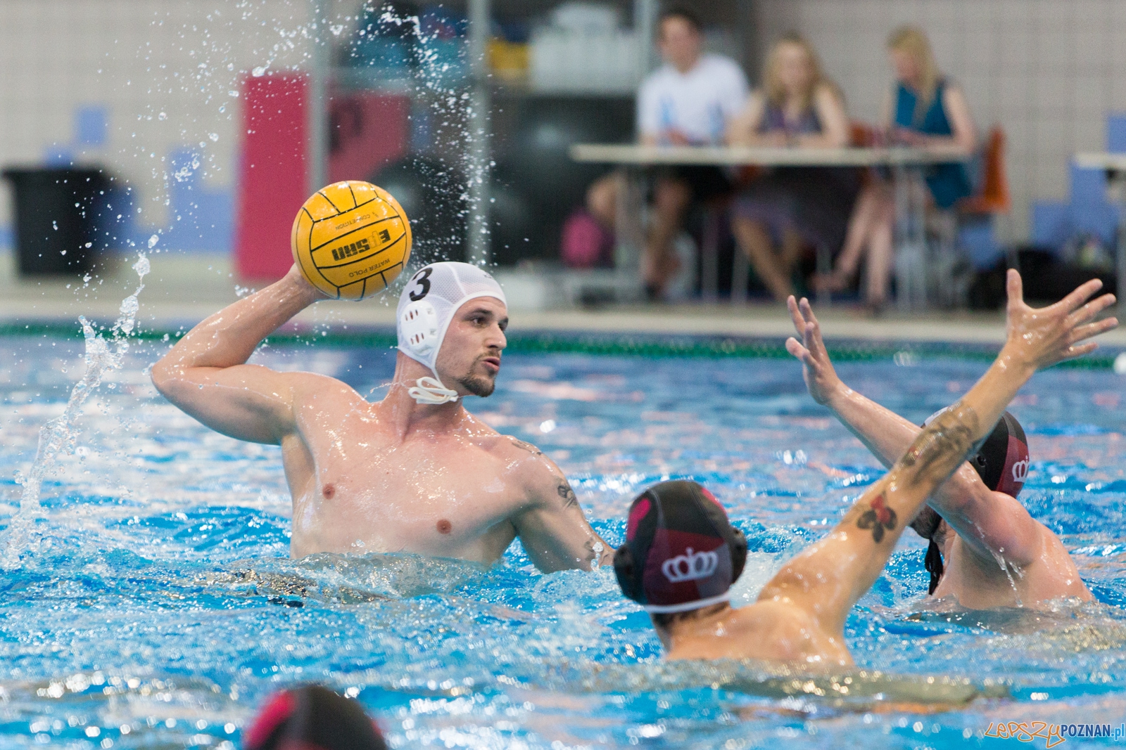 KS Waterpolo Poznań - Arkonia Szczecin  Foto: lepszyPOZNAN.pl / Piotr Rychter