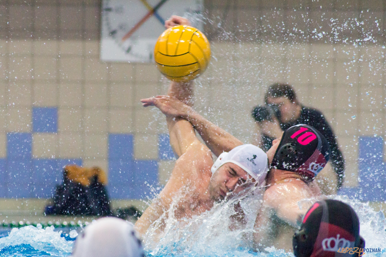 KS Waterpolo Poznań - Arkonia Szczecin  Foto: Ewelina Jaśkowiak