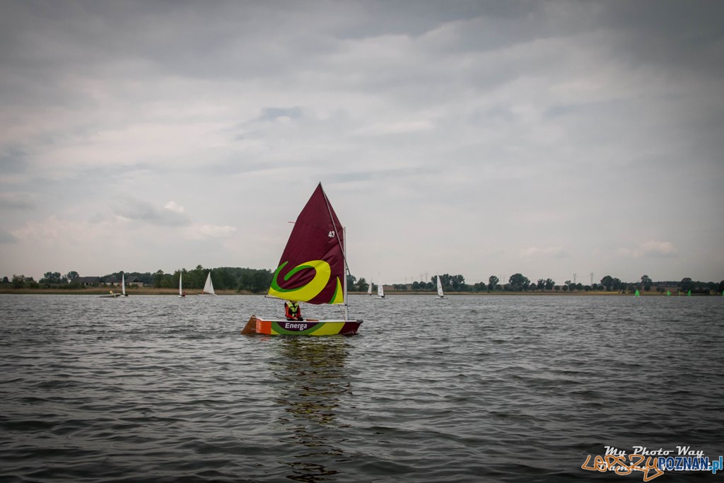 Energa Sailing na jeziorze Kierskim  Foto: mat.pras. / Damian Nowicki